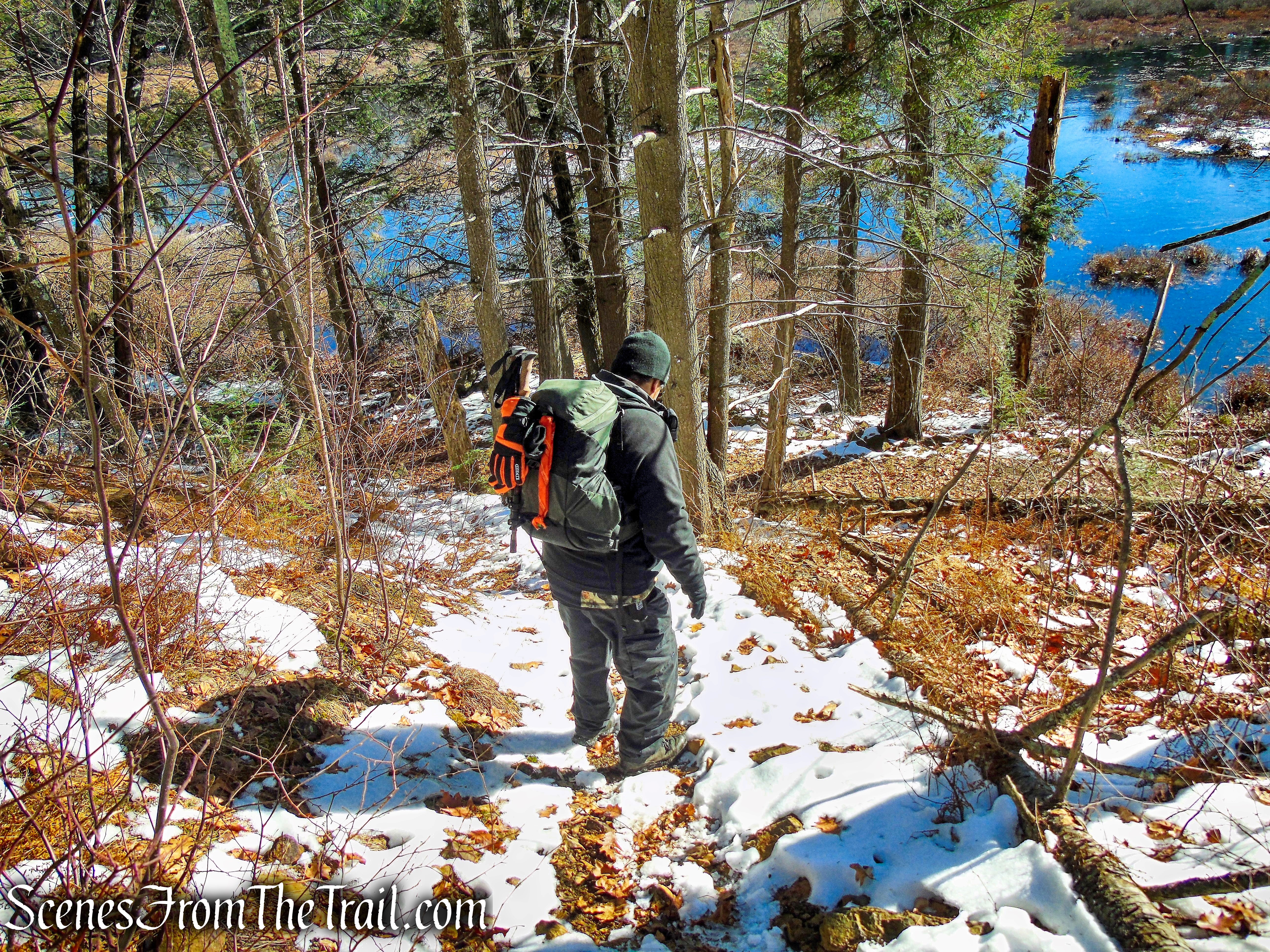 unmarked footpath to Pine Swamp Mine