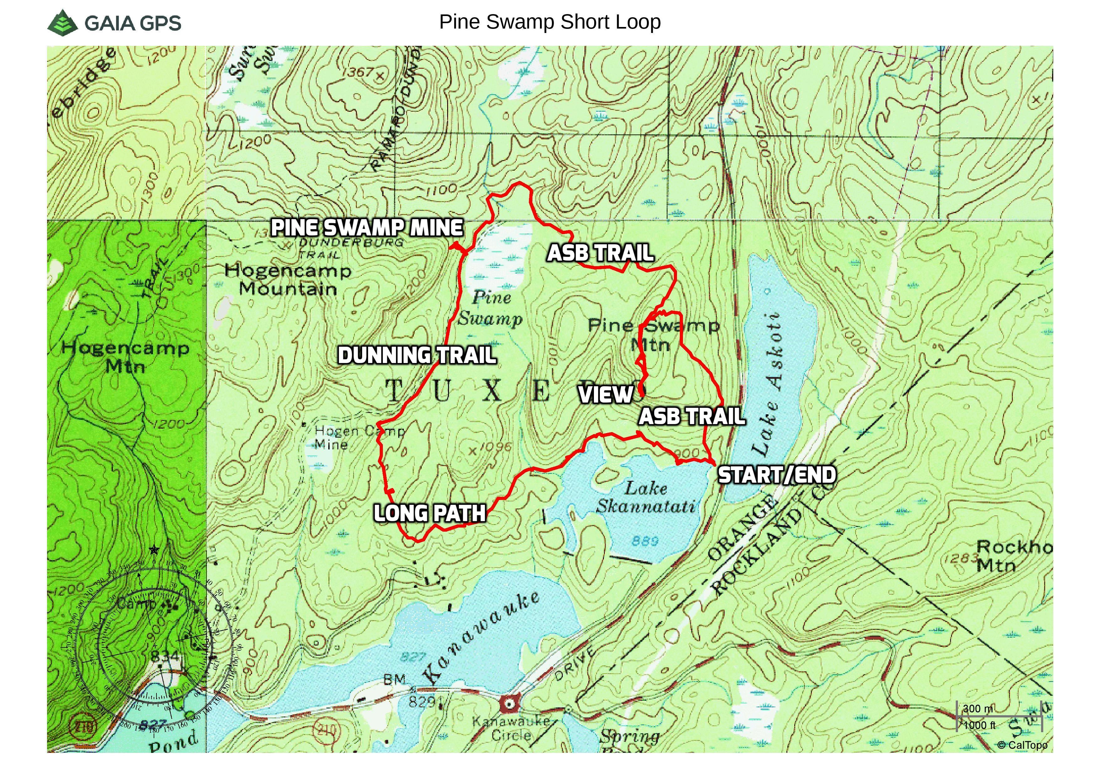 Pine Swamp Short Loop