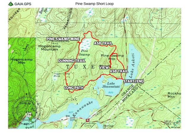 Pine Swamp Short Loop