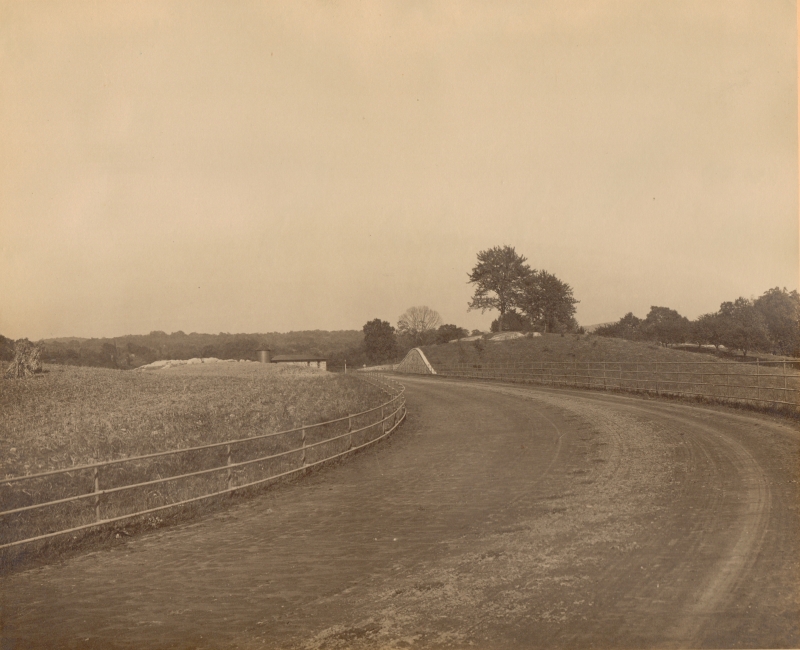 race track - McAndrews Estate