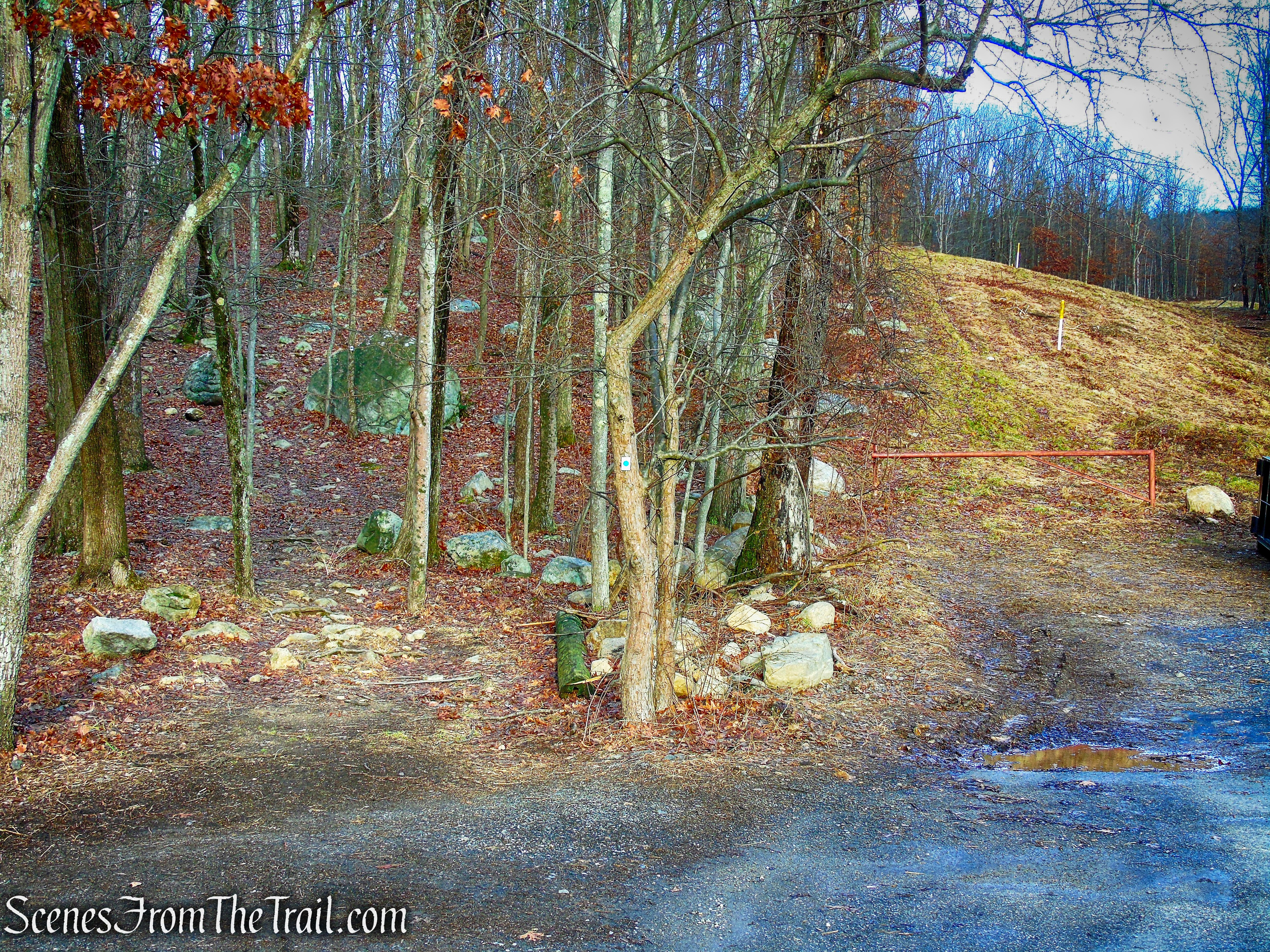 Blue Disc Trail
