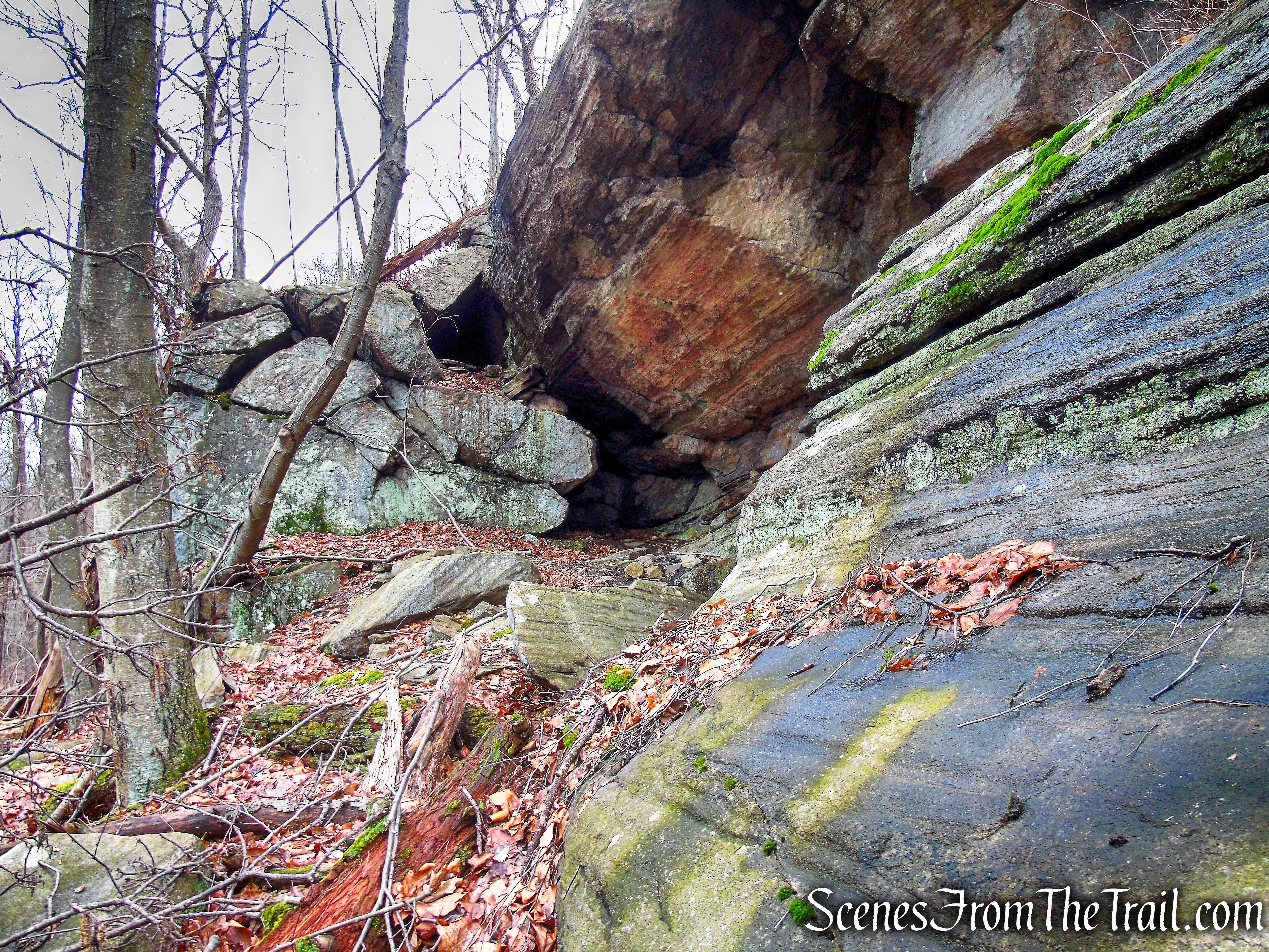 Bushwack on Dater Mountain