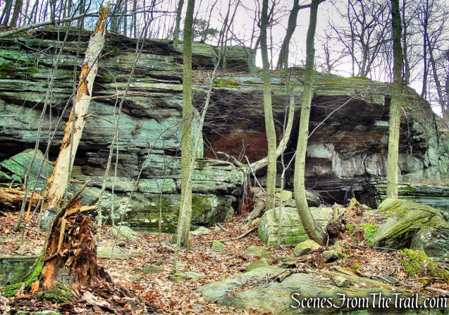 Bushwack on Dater Mountain