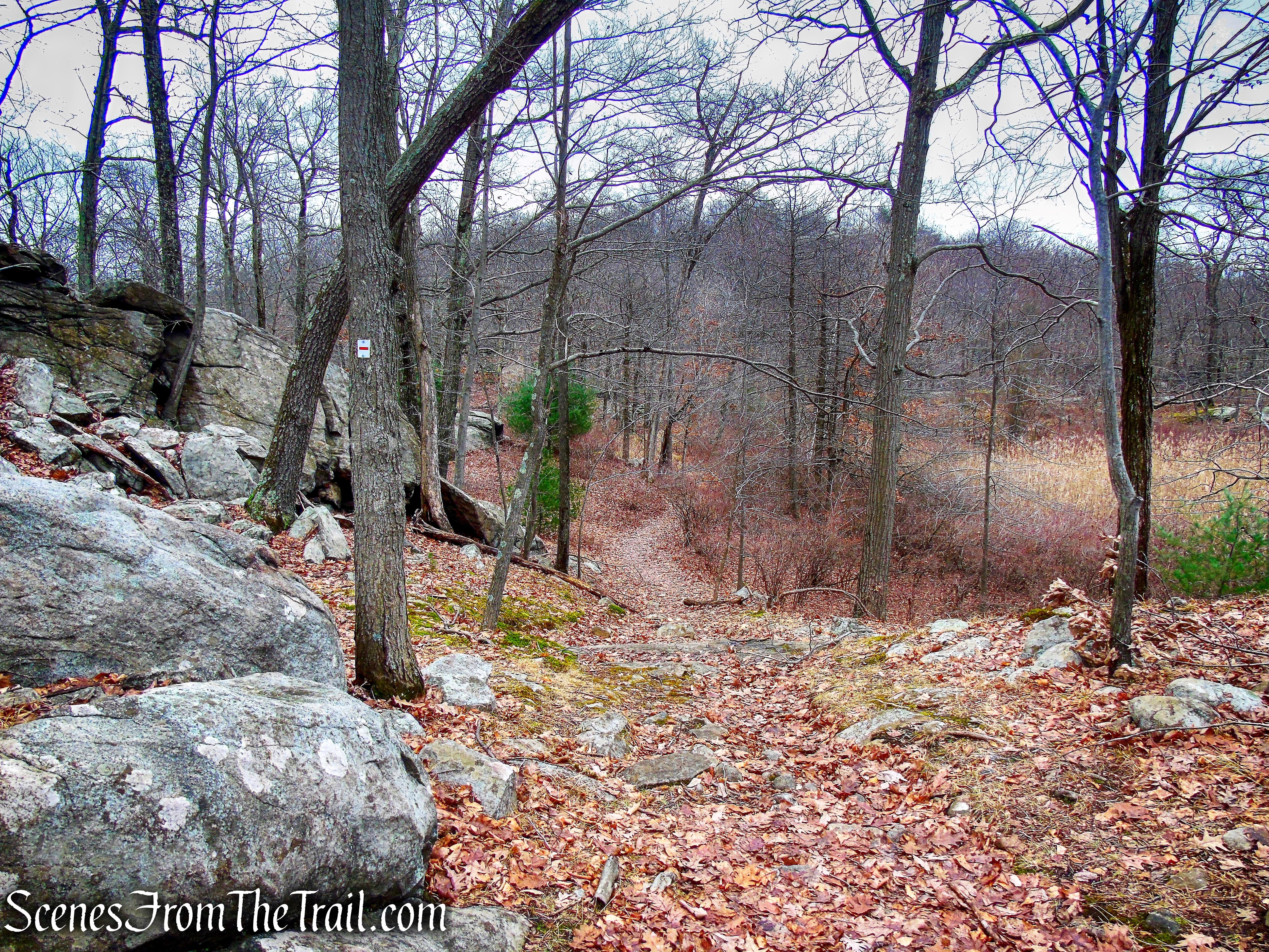 Tuxedo-Mt. Ivy Trail
