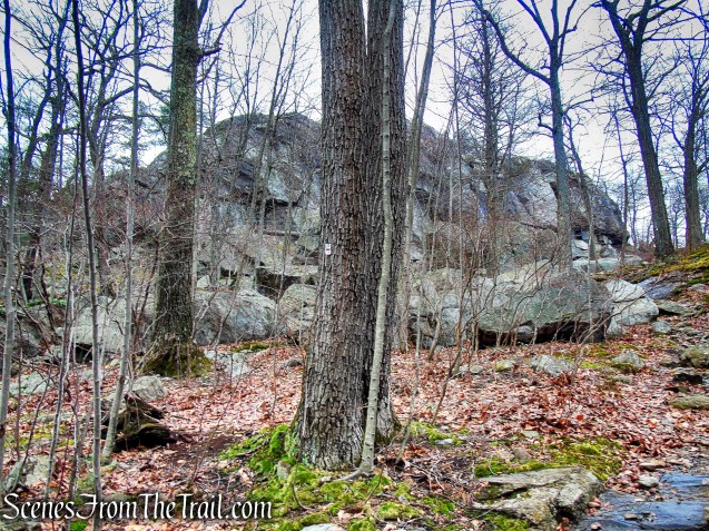 Tuxedo-Mt. Ivy Trail