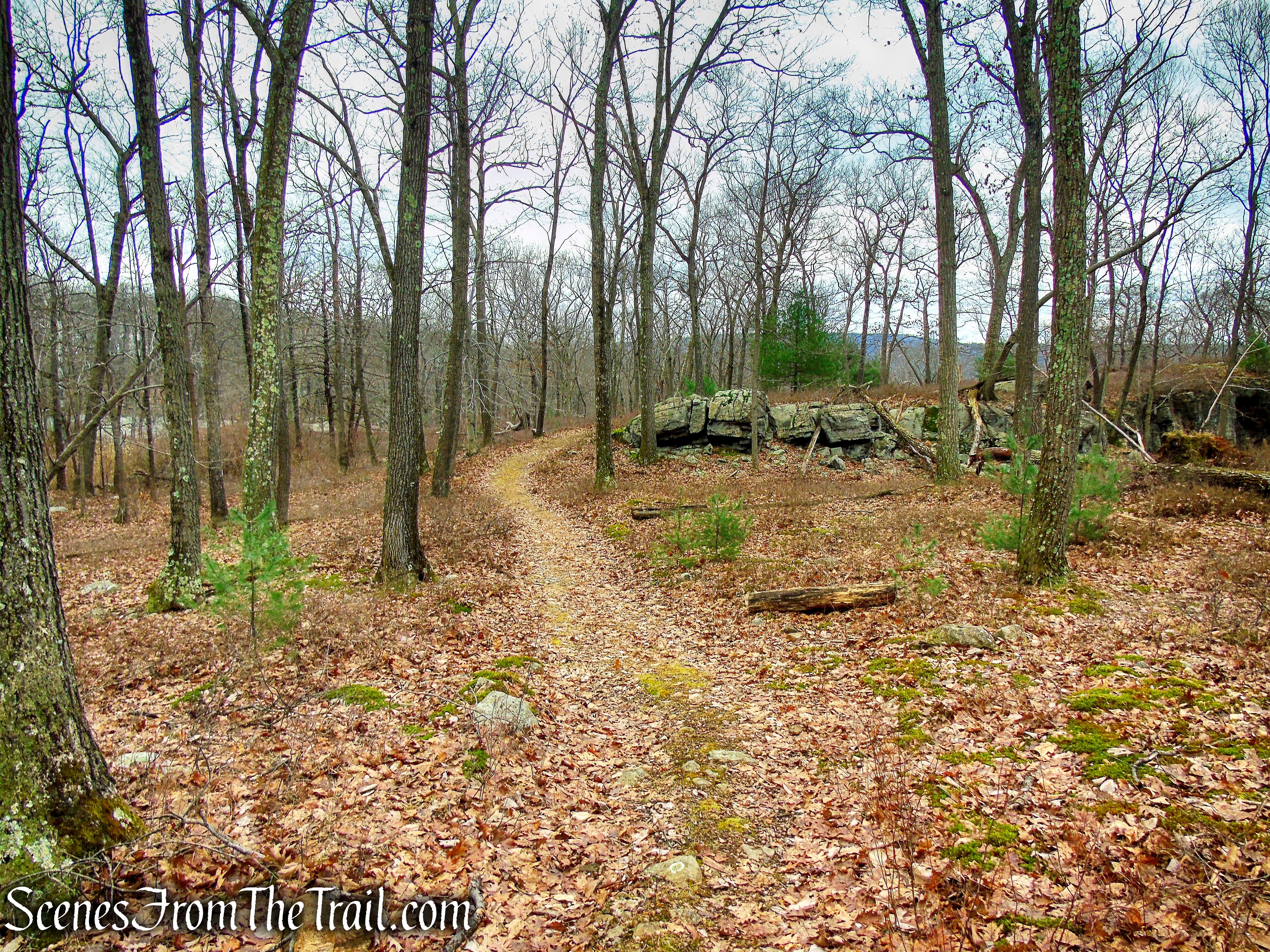 Spring Brook Trail