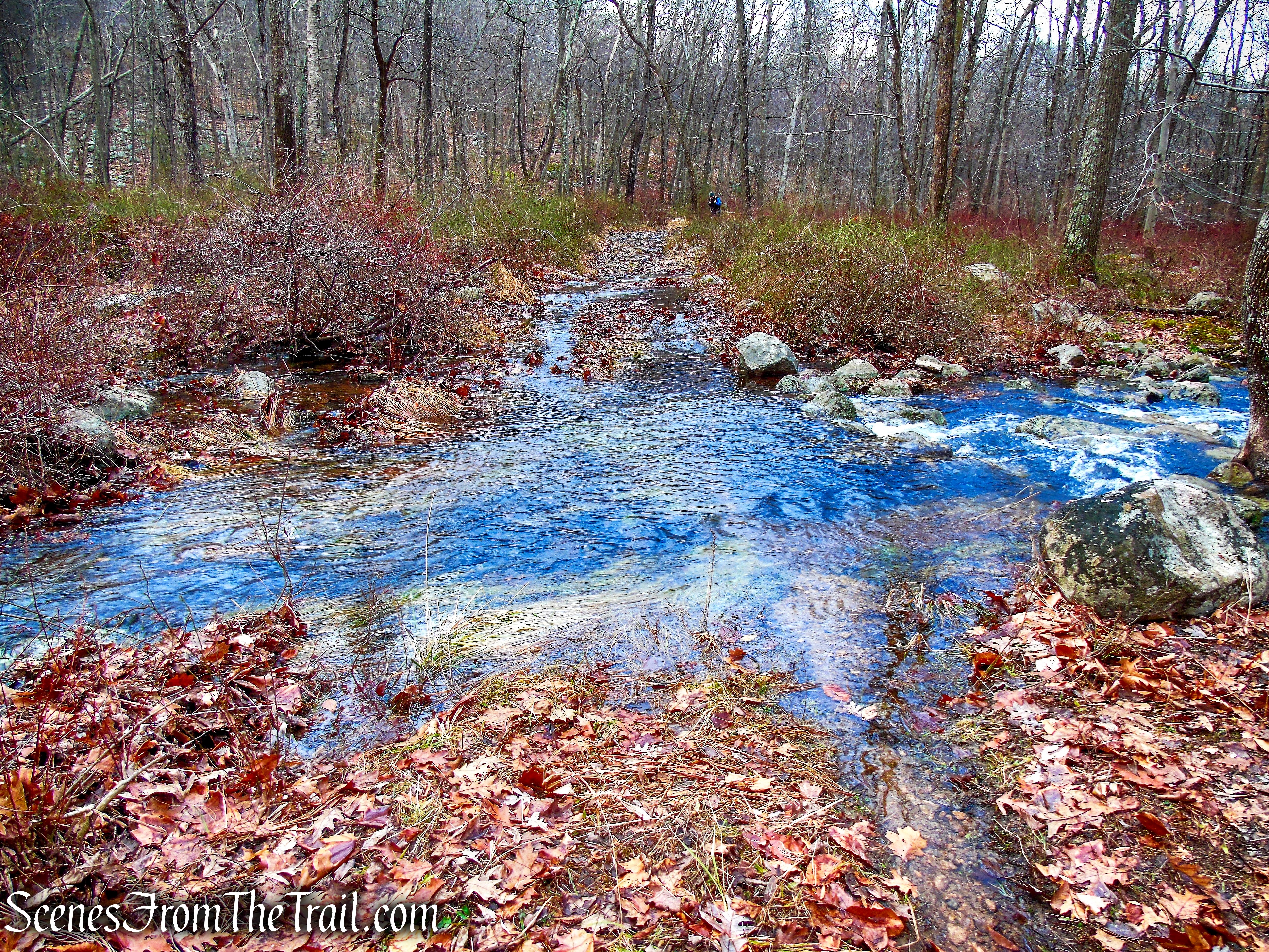 Spring Brook Trail