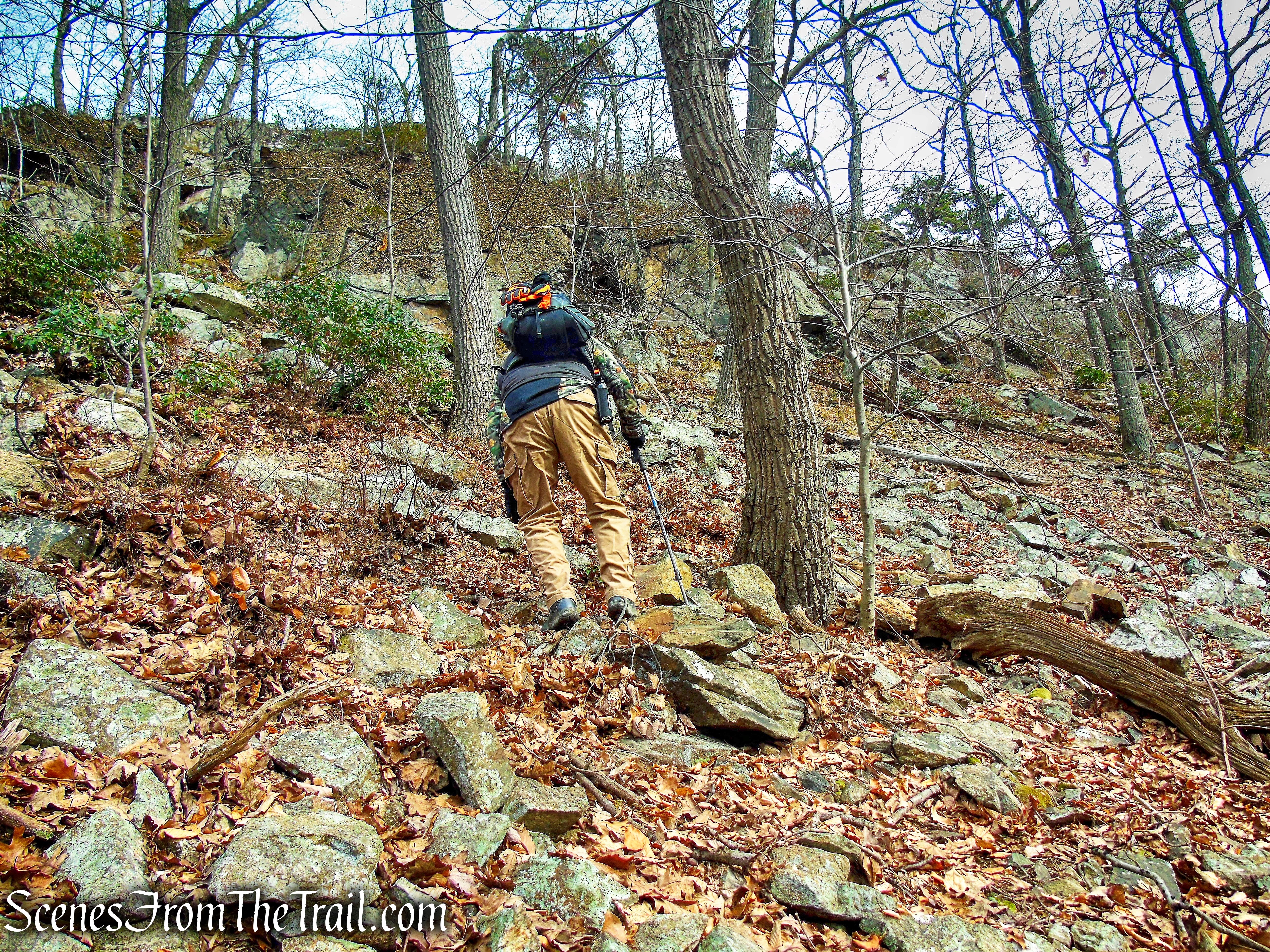 bushwack - Black Mountain