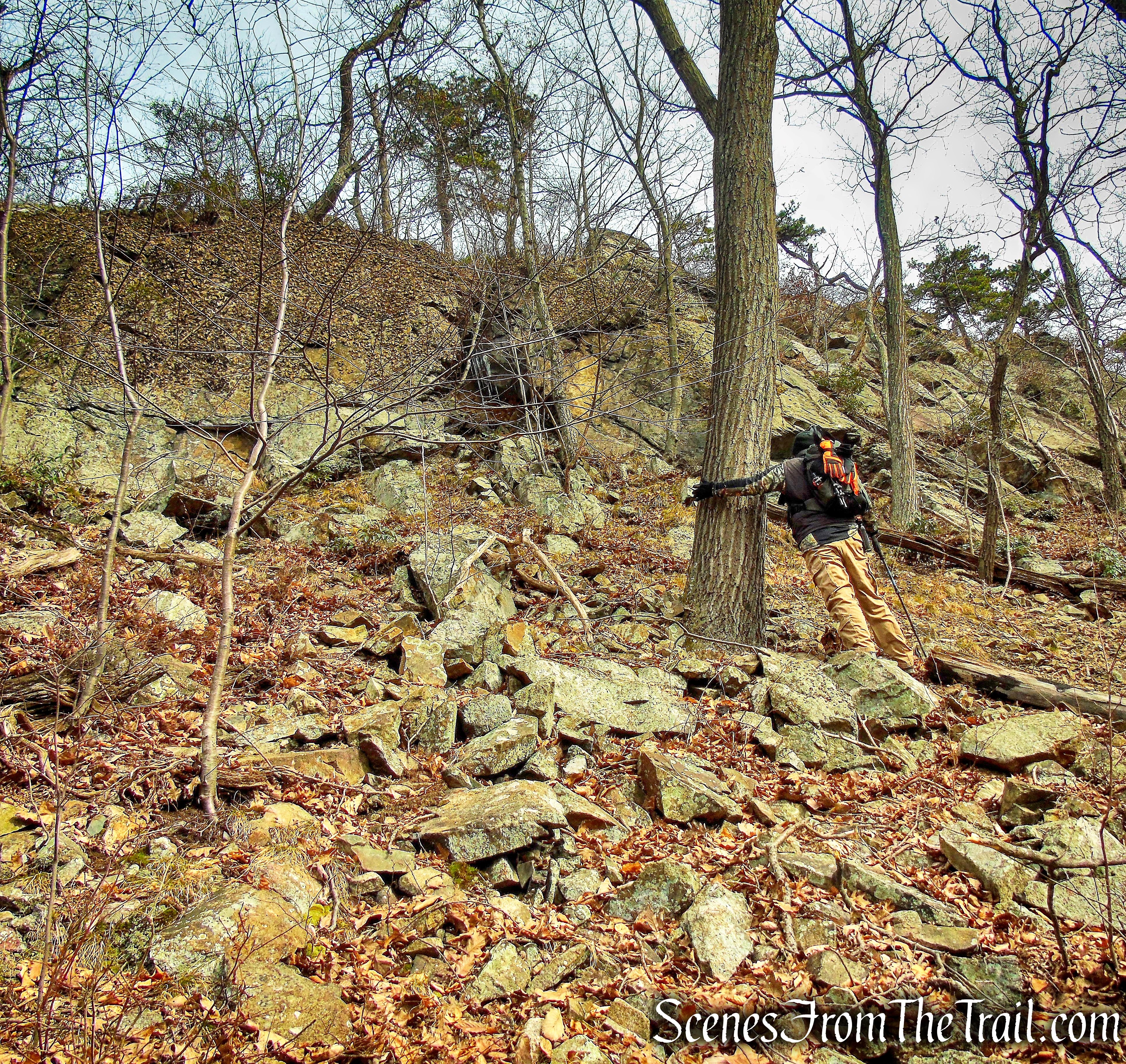 bushwack - Black Mountain