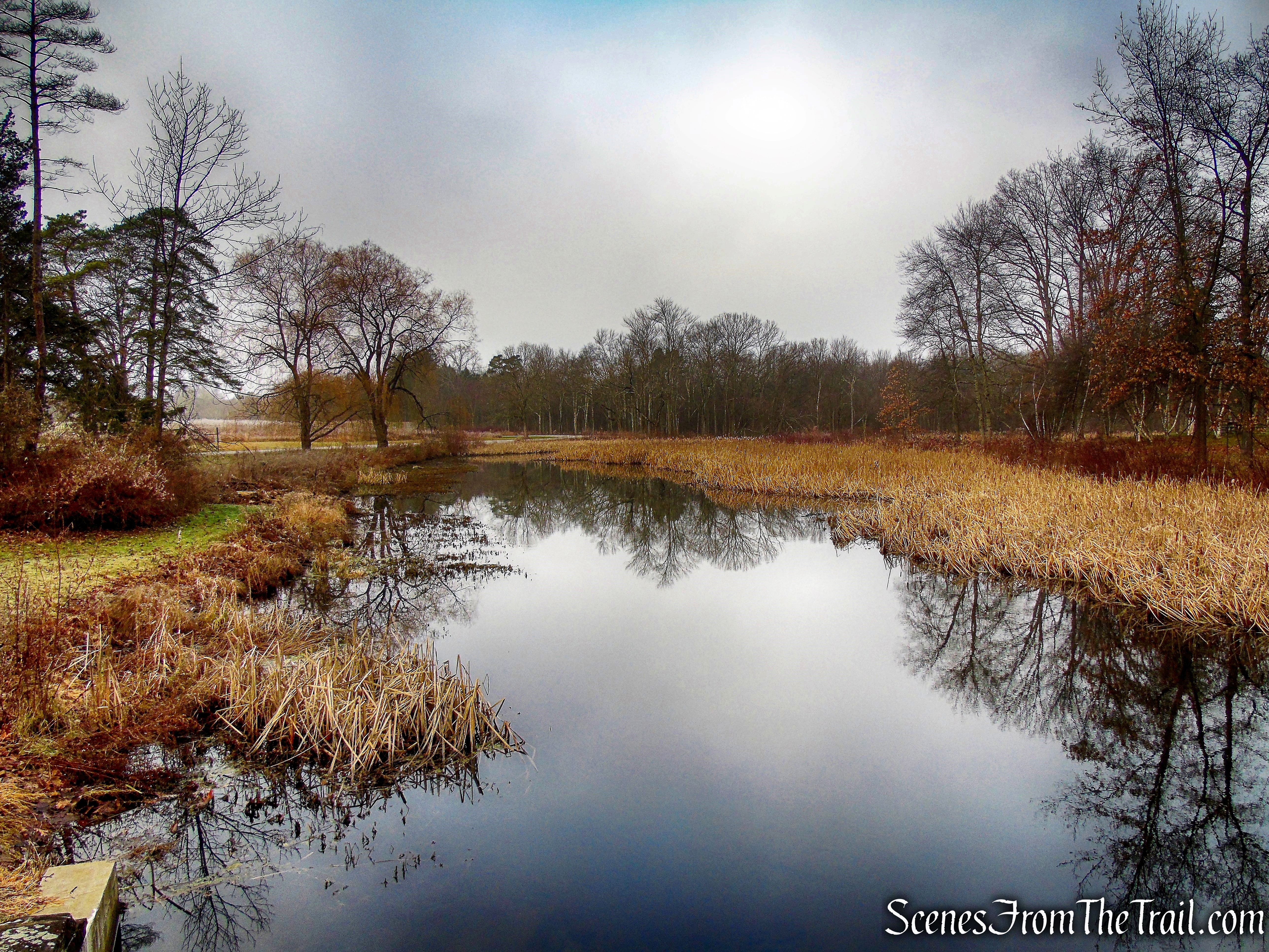 Fall Kill - Hyde Park Trail
