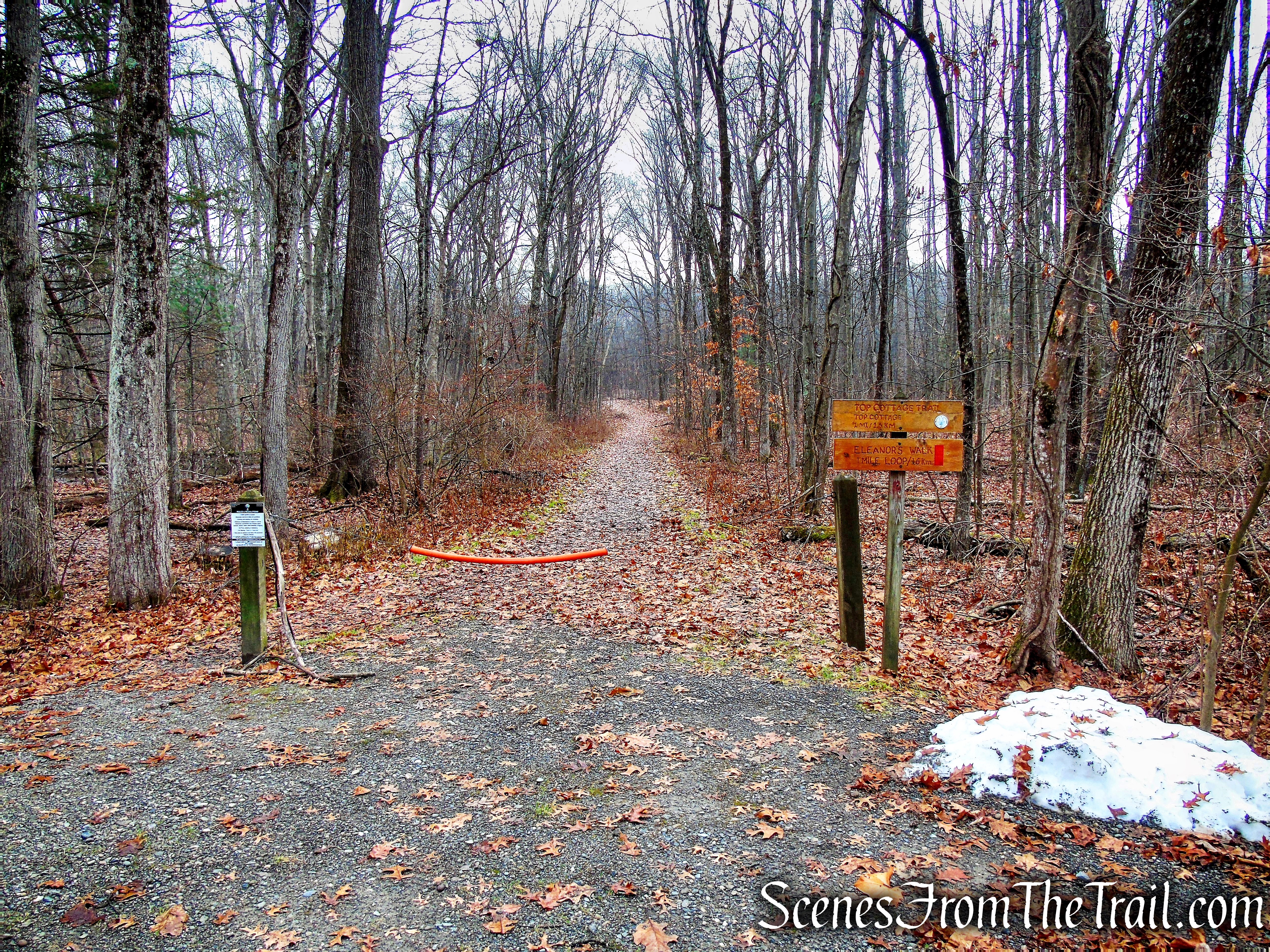 Hyde Park Trail