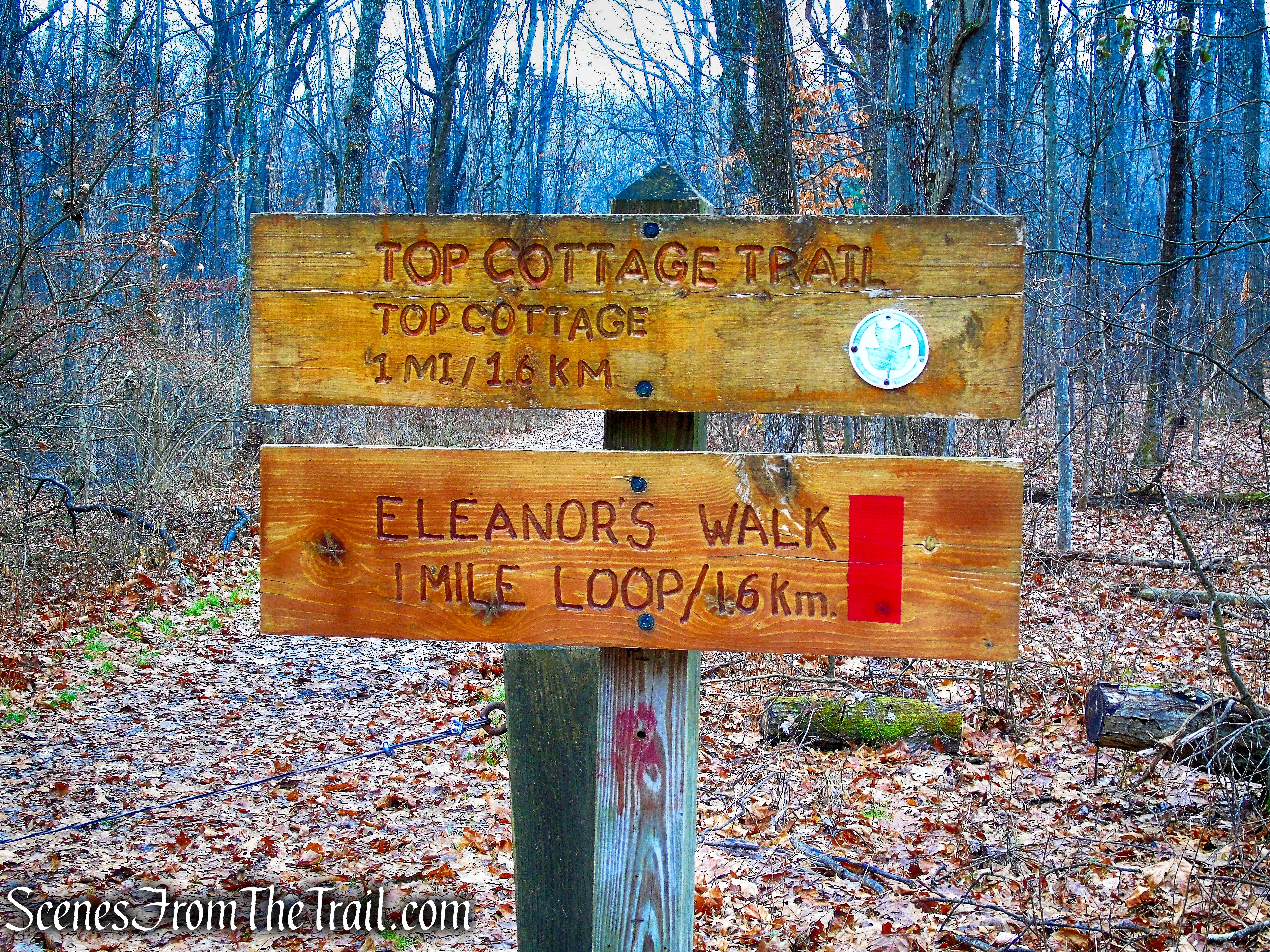 Eleanor’s Walk & Top Cottage Trail