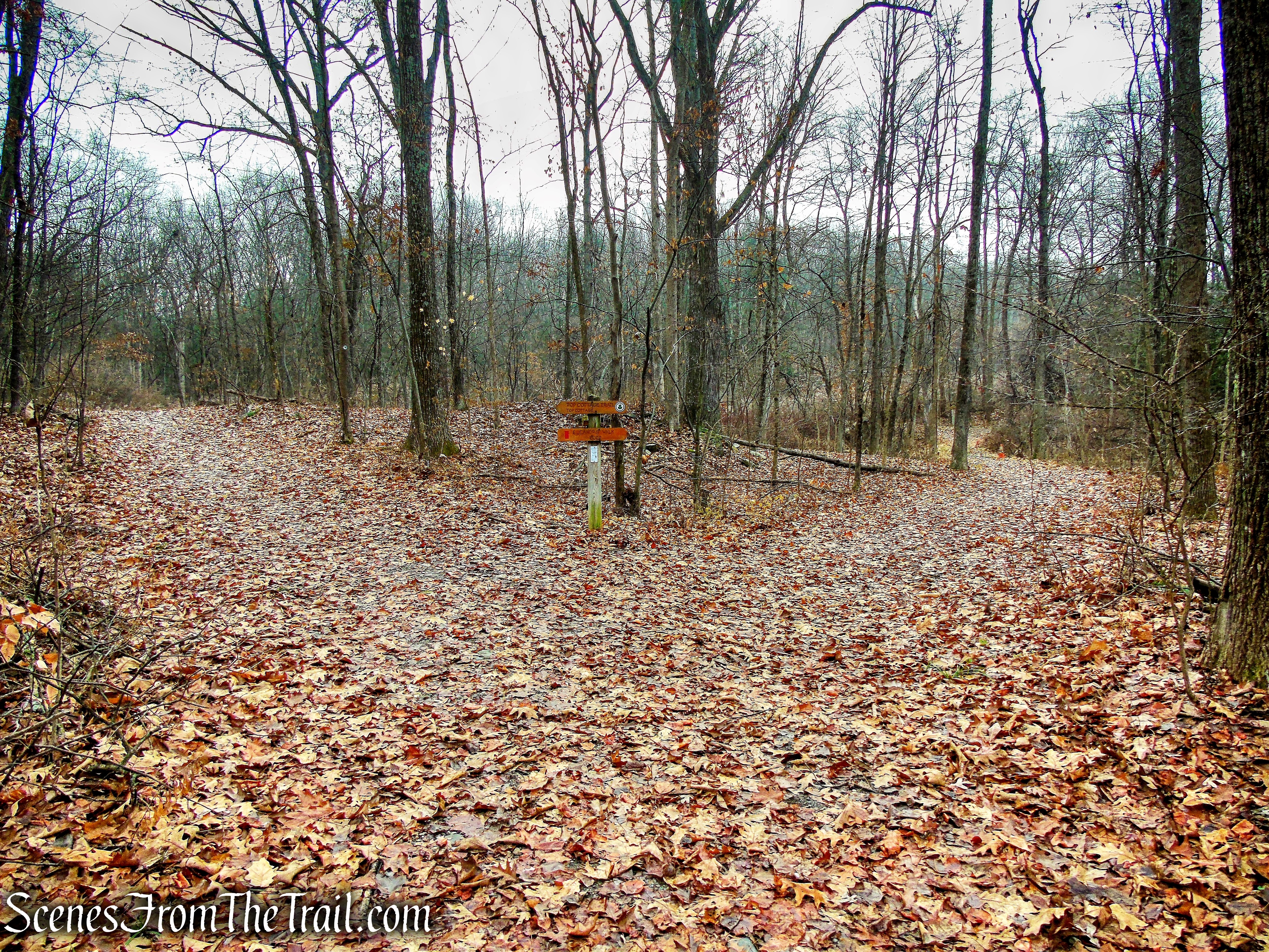 Eleanor’s Walk & Top Cottage Trail