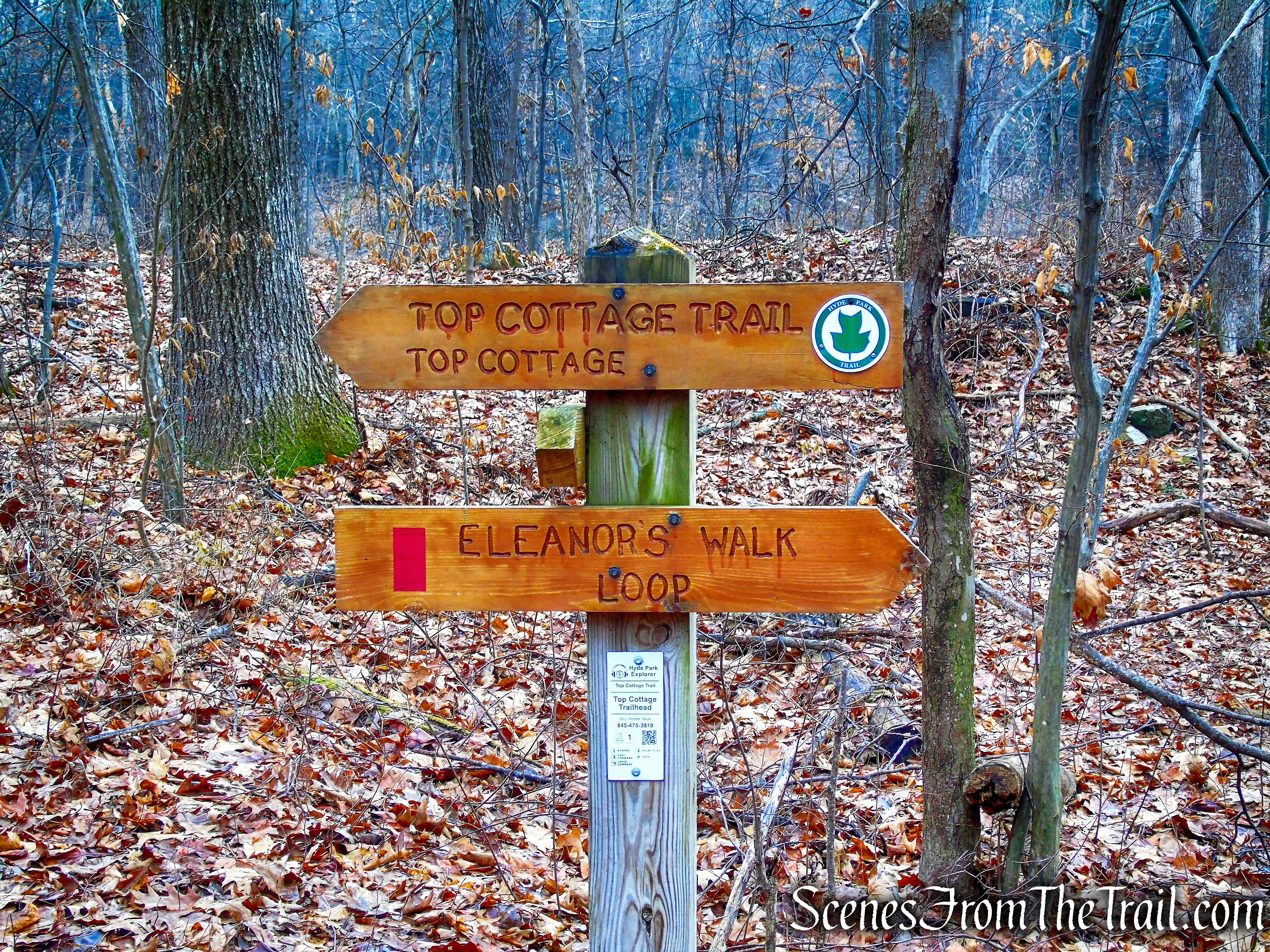Eleanor’s Walk & Top Cottage Trail