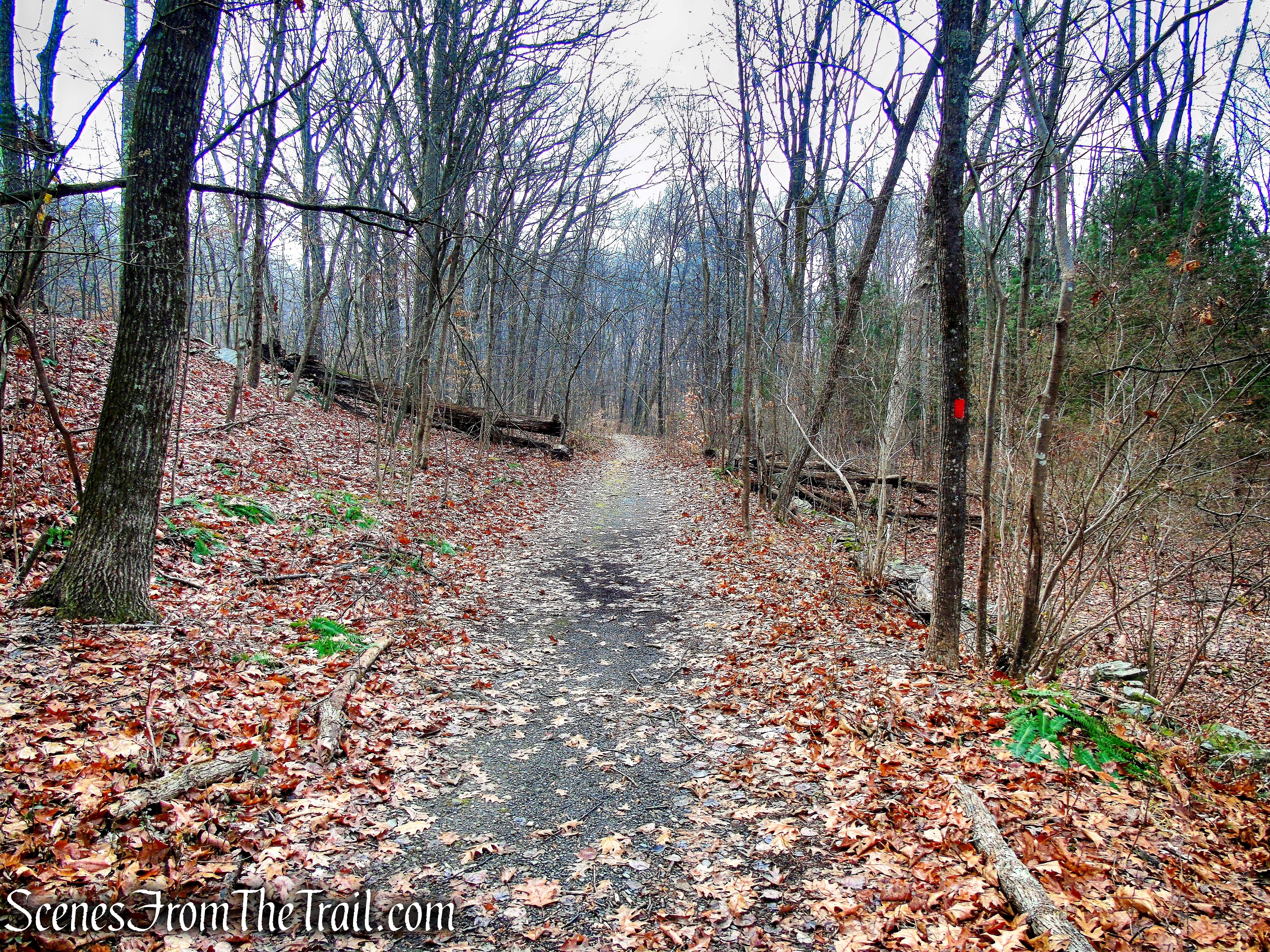 Eleanor’s Walk
