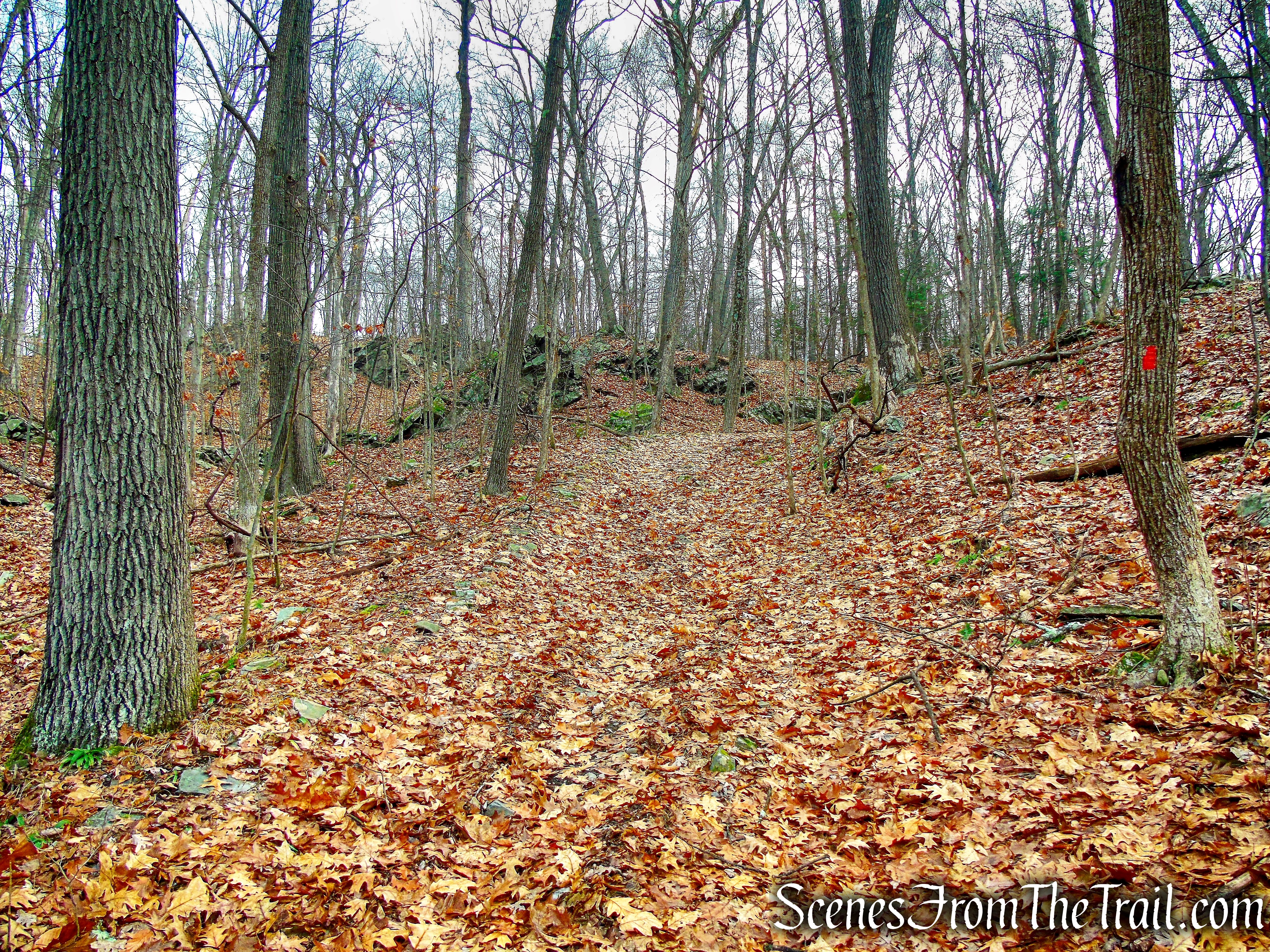 Eleanor’s Walk