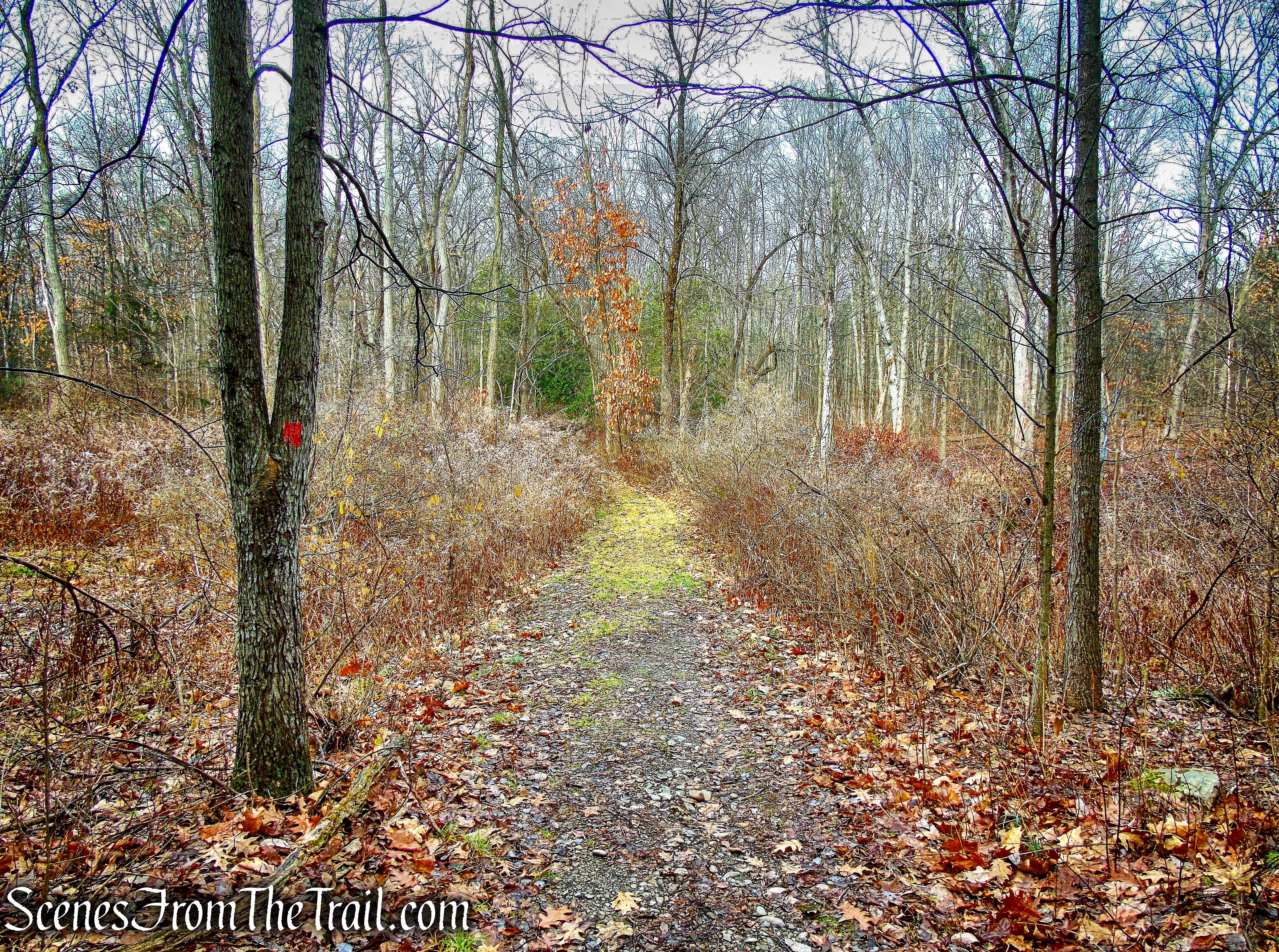 Eleanor’s Walk
