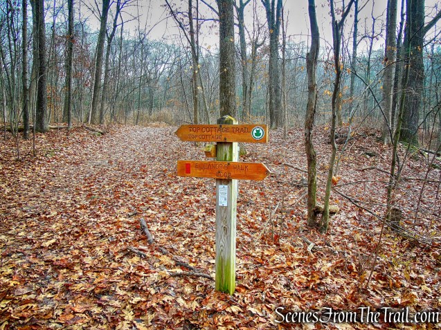 turn right on Top Cottage Trail