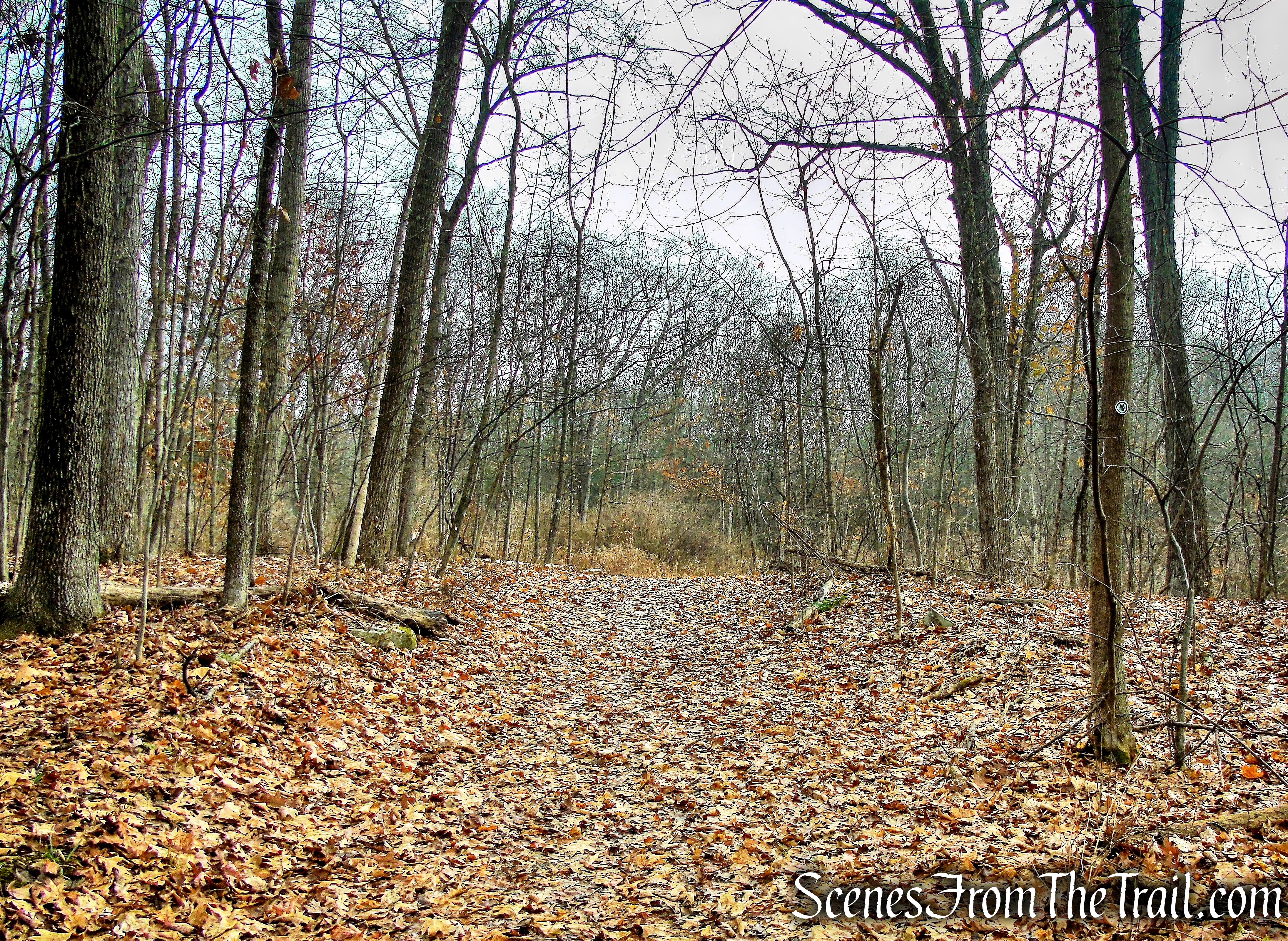 Top Cottage Trail