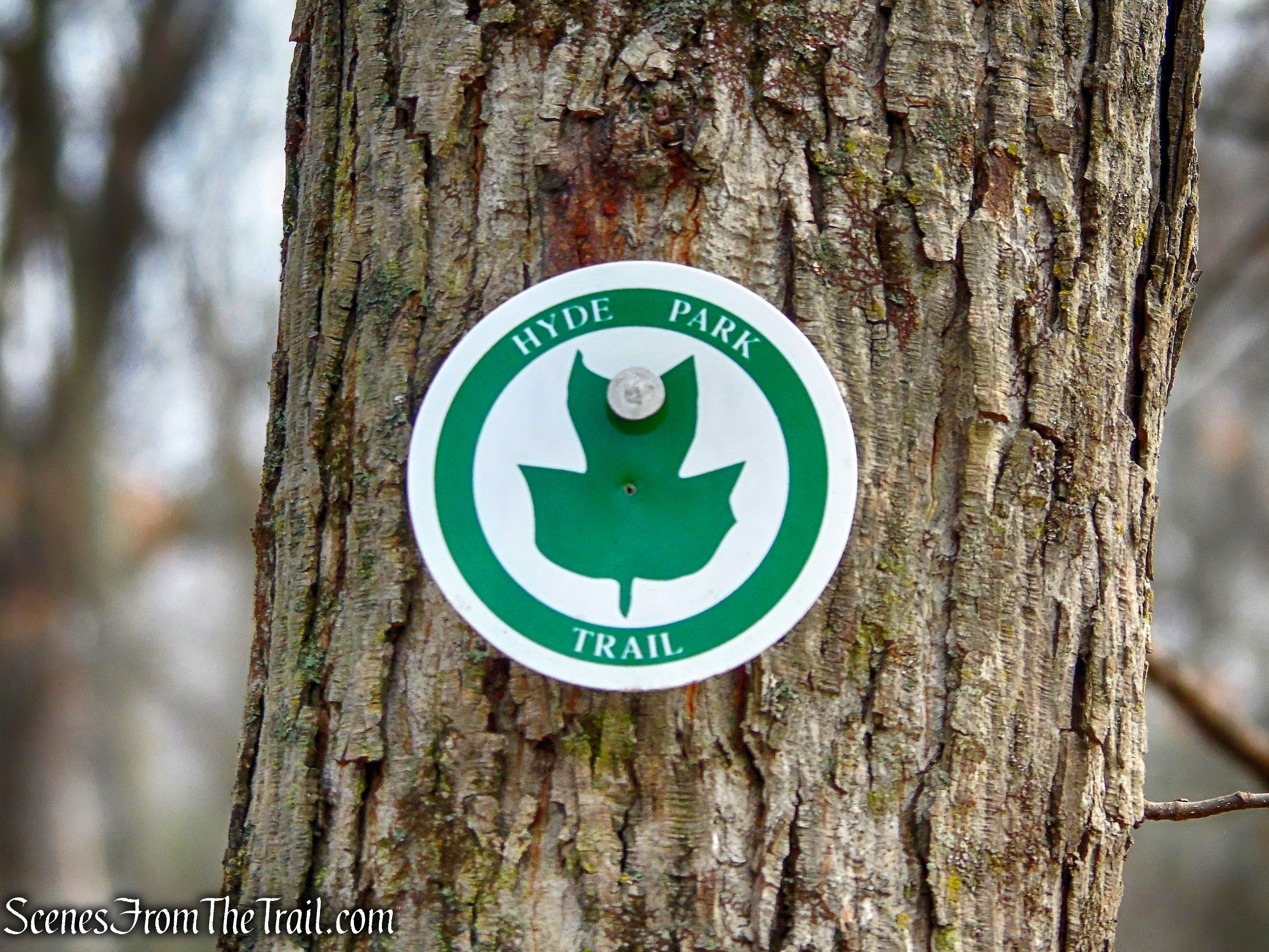 Hyde Park Trails