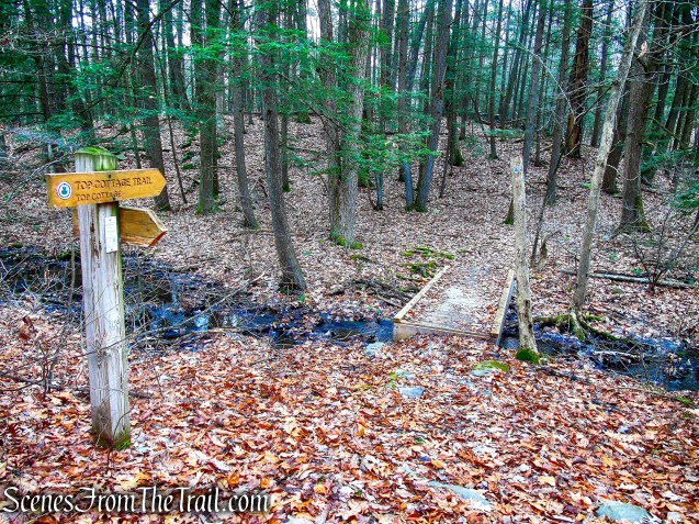 Top Cottage Trail