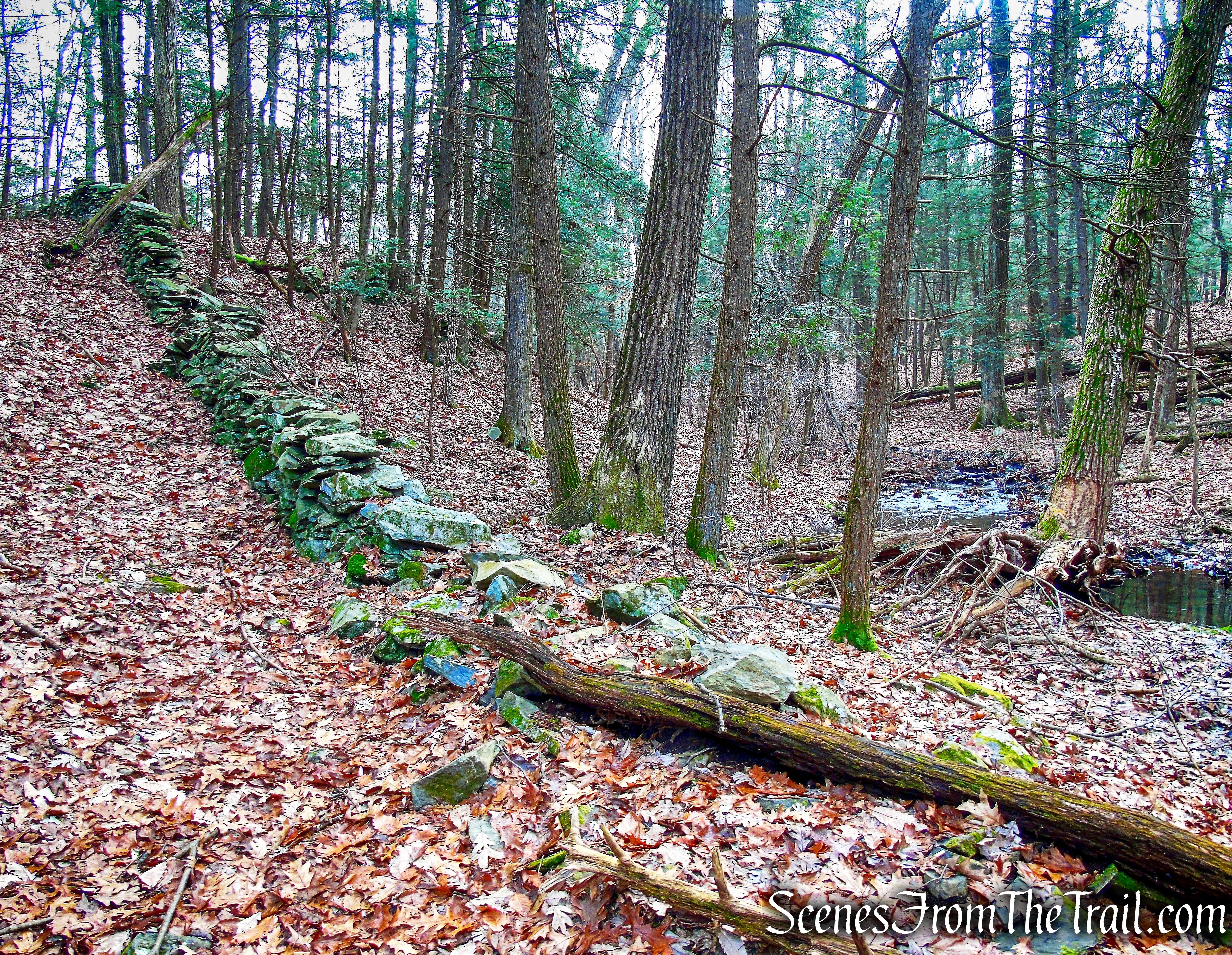Top Cottage Trail