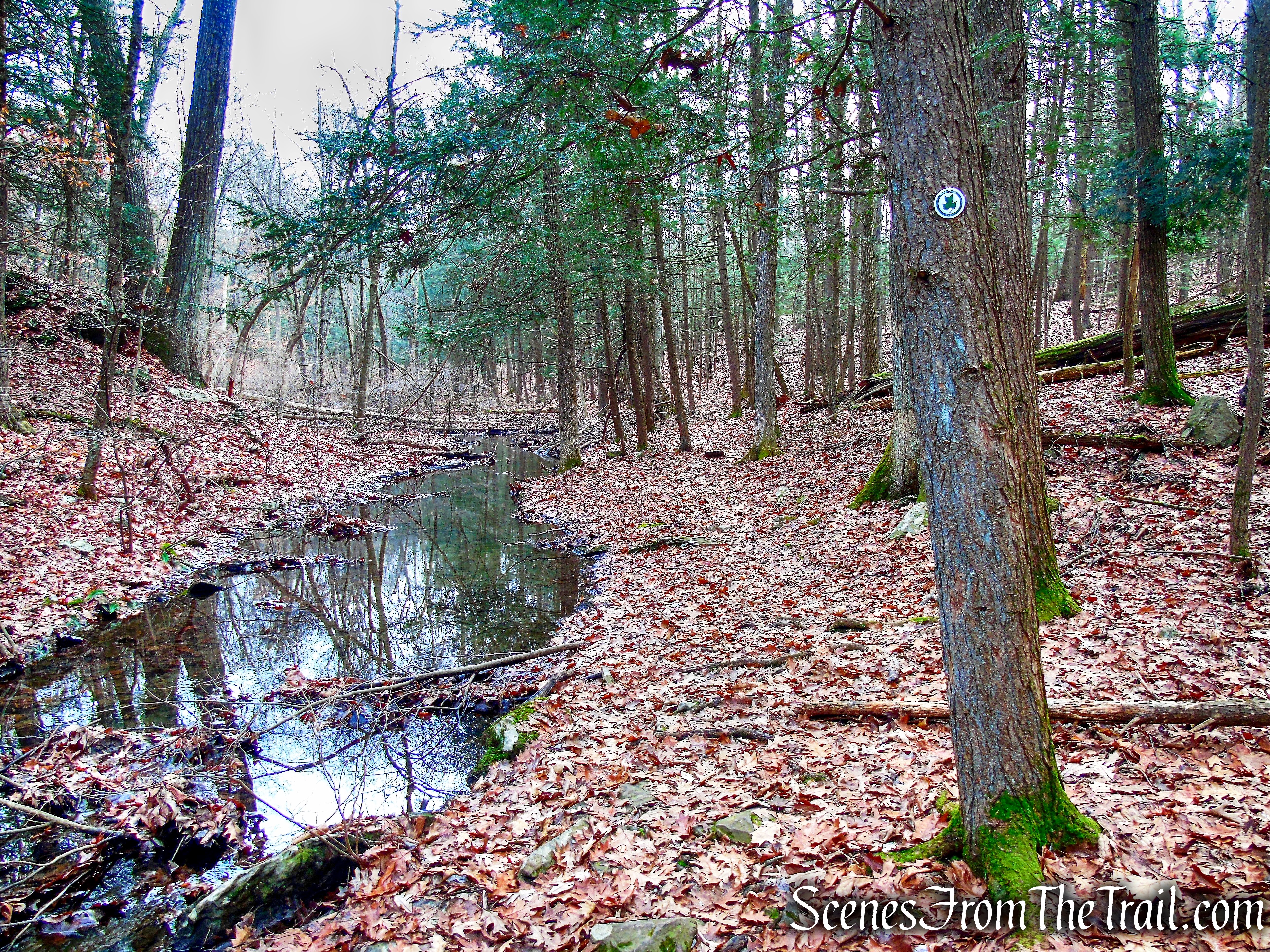 Top Cottage Trail