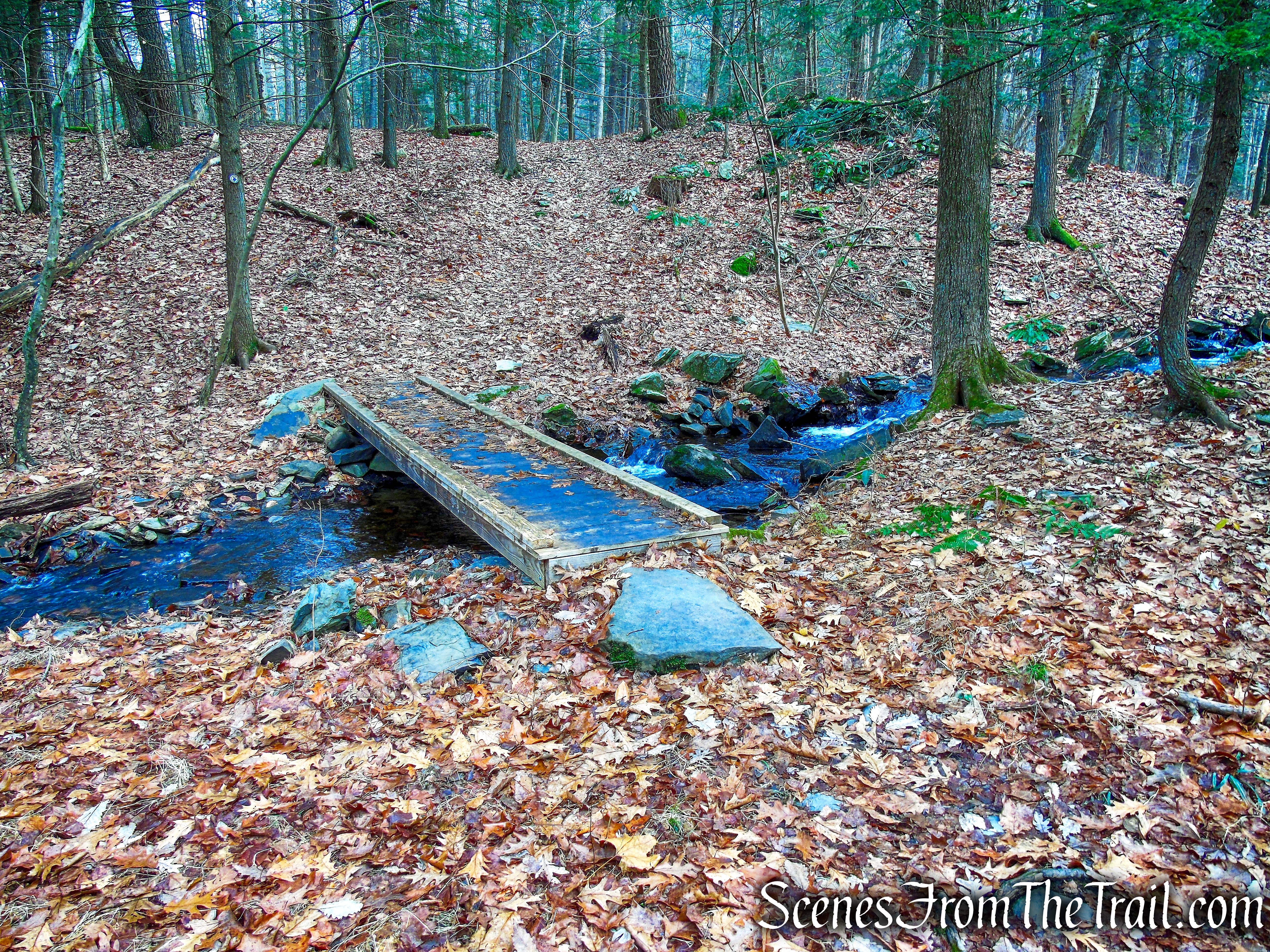 Top Cottage Trail