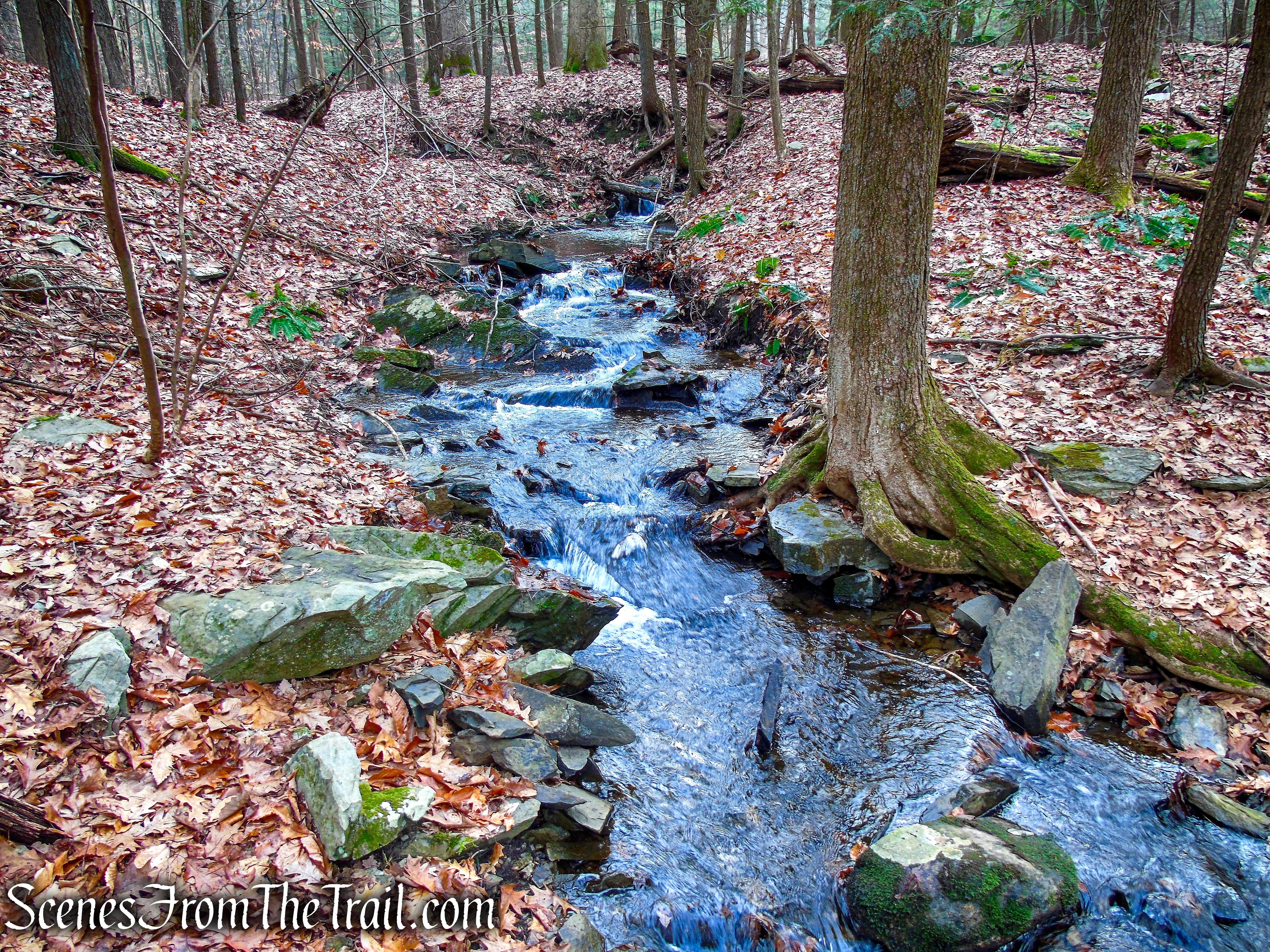 Top Cottage Trail
