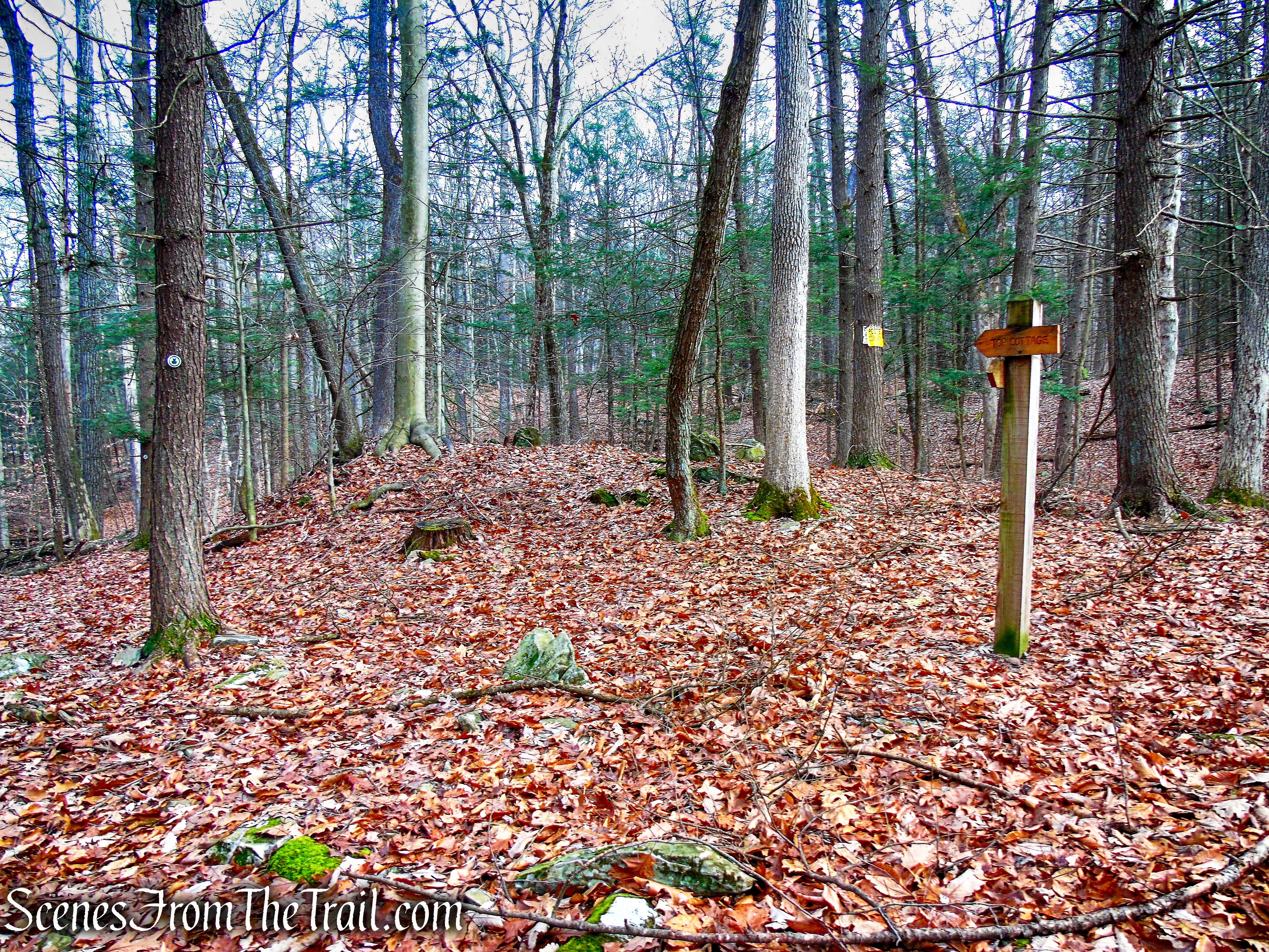Top Cottage Trail