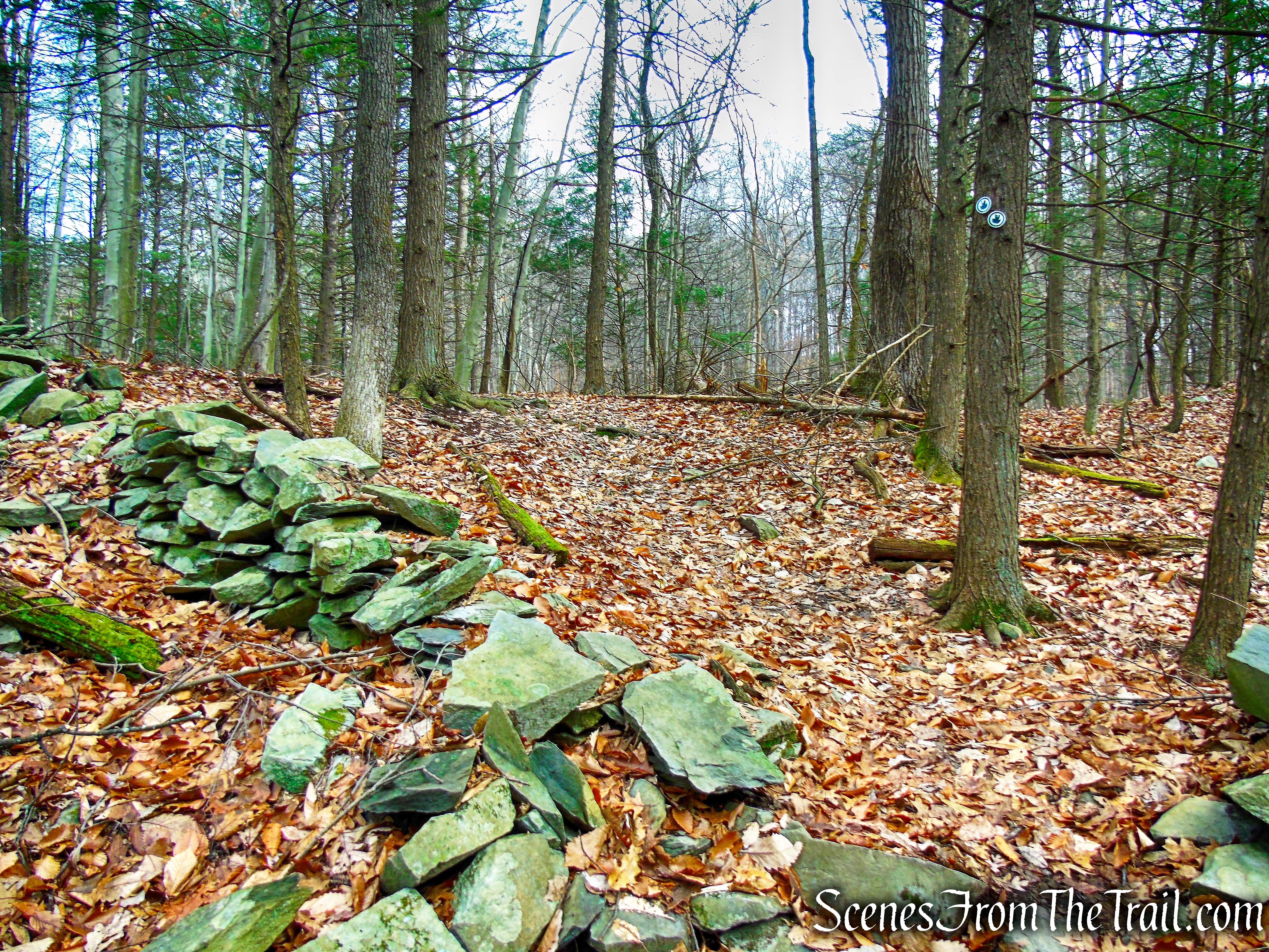 Top Cottage Trail