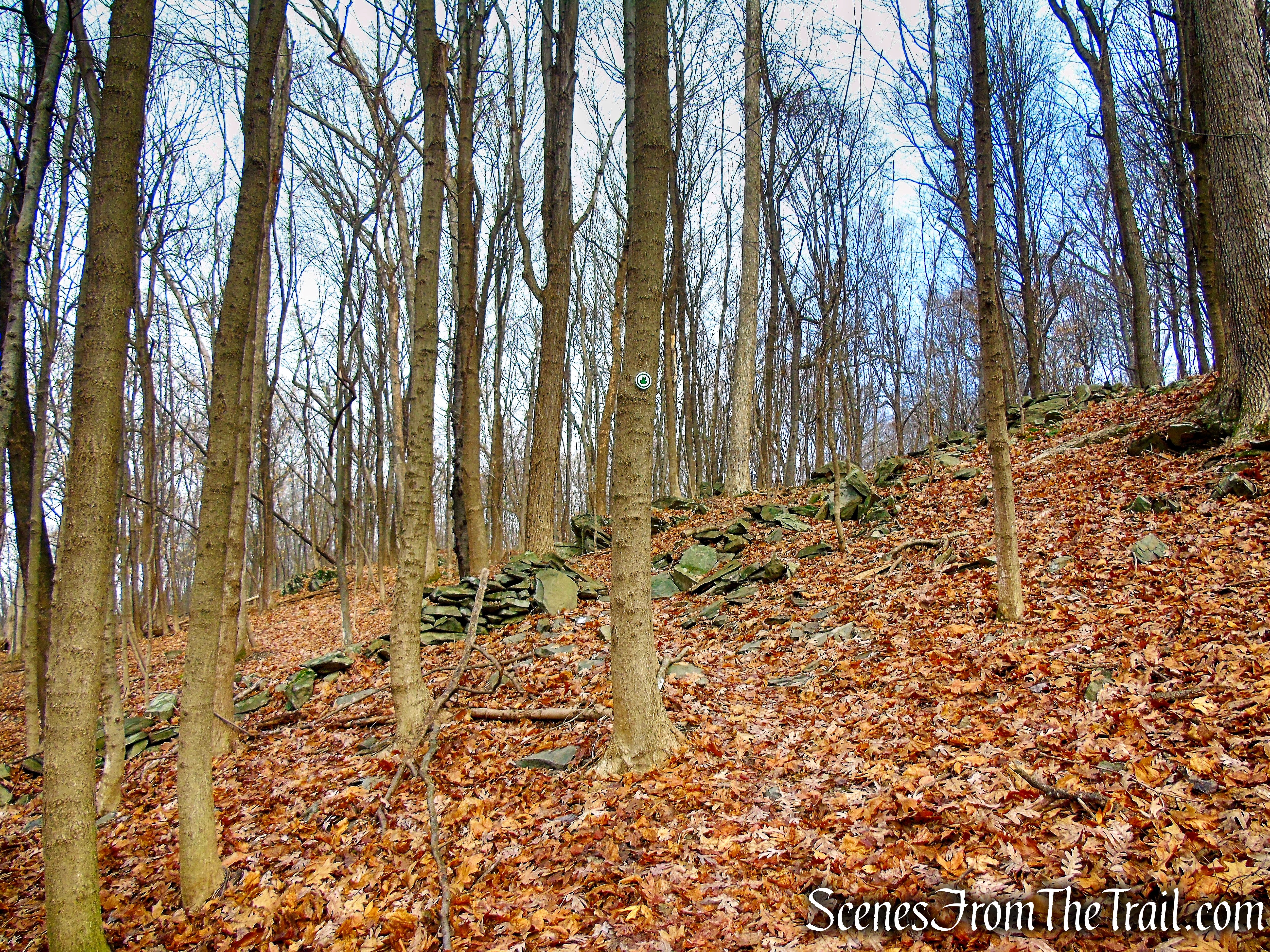 Top Cottage Trail