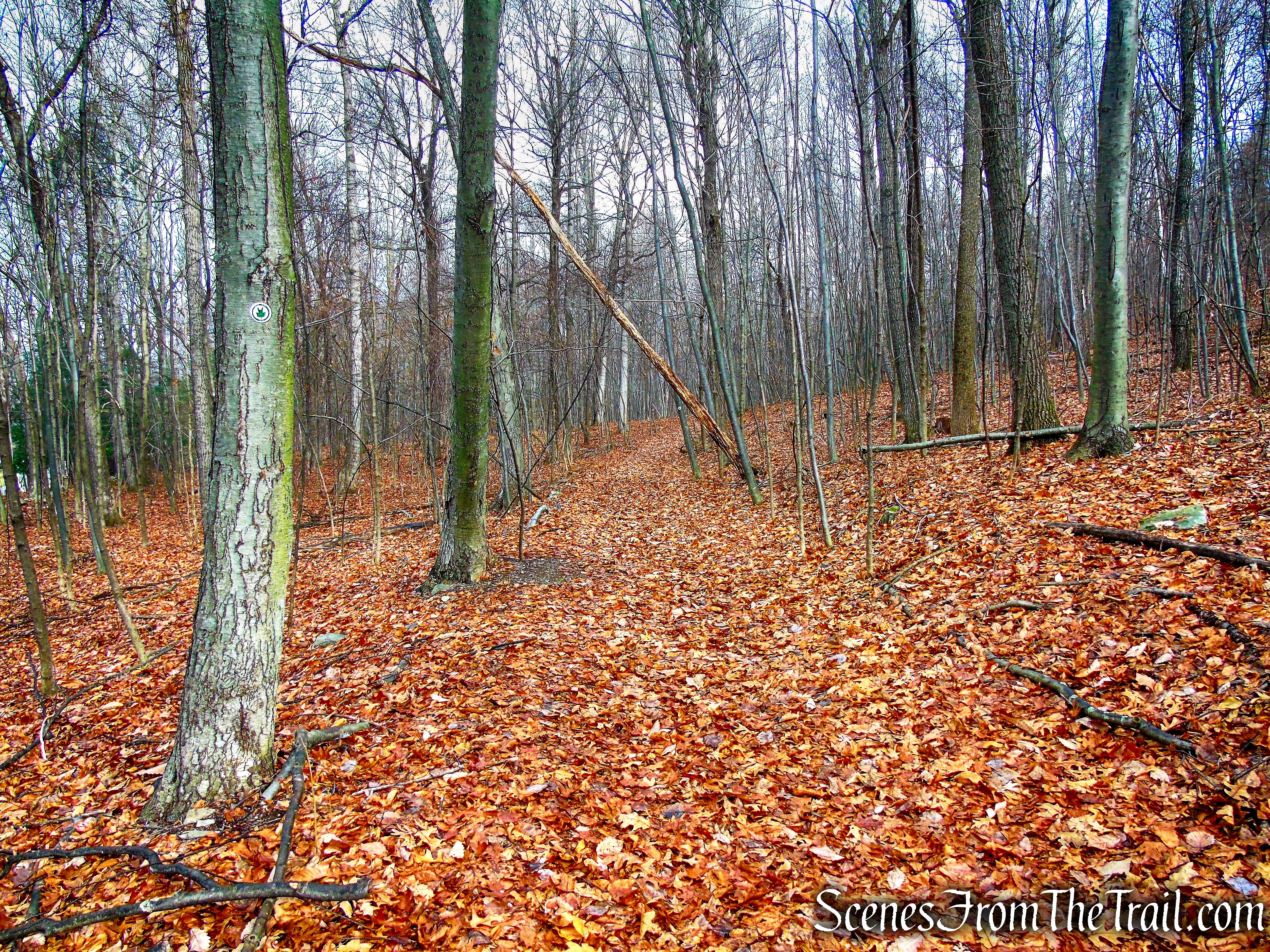 Top Cottage Trail