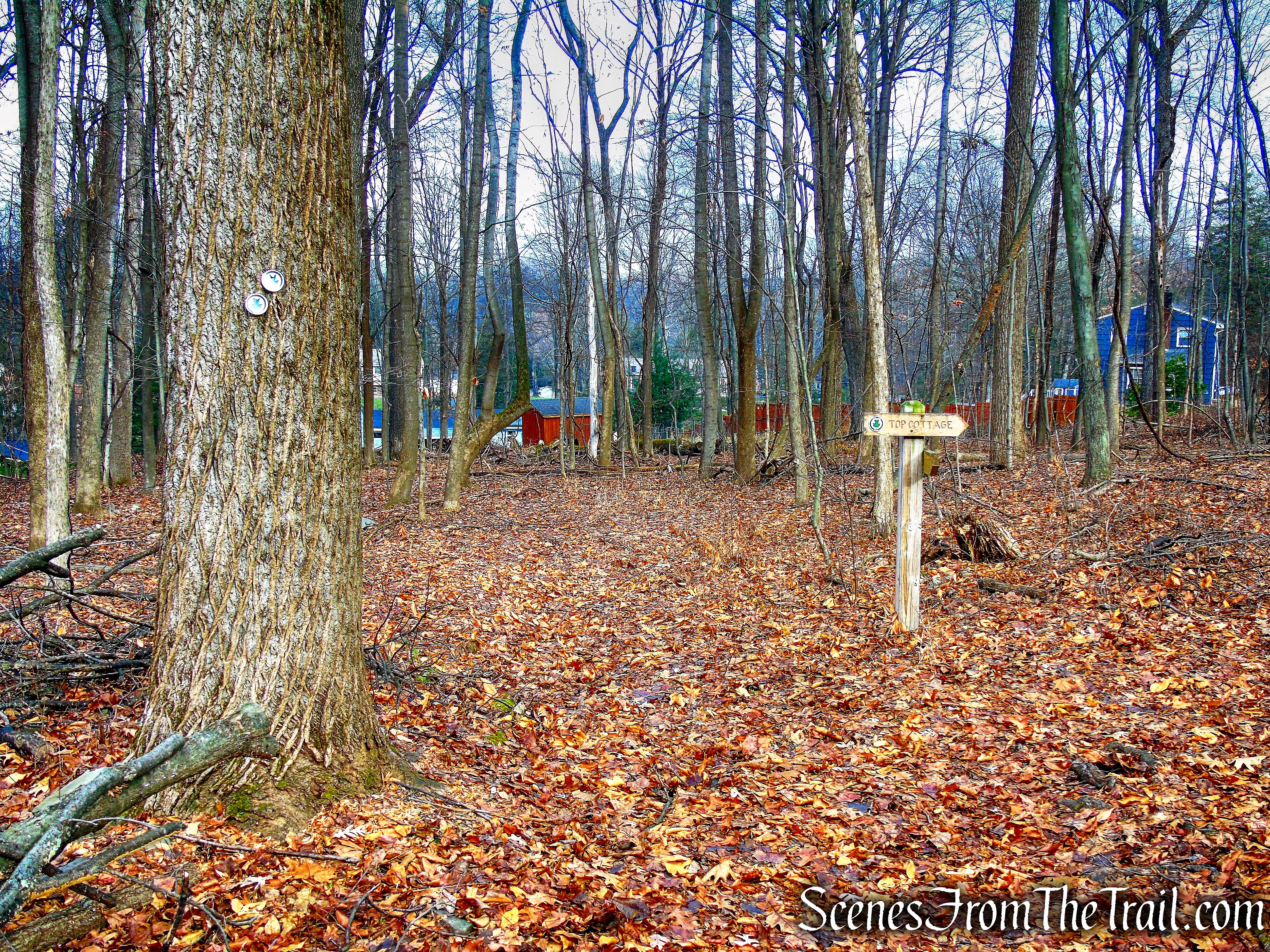 Top Cottage Trail