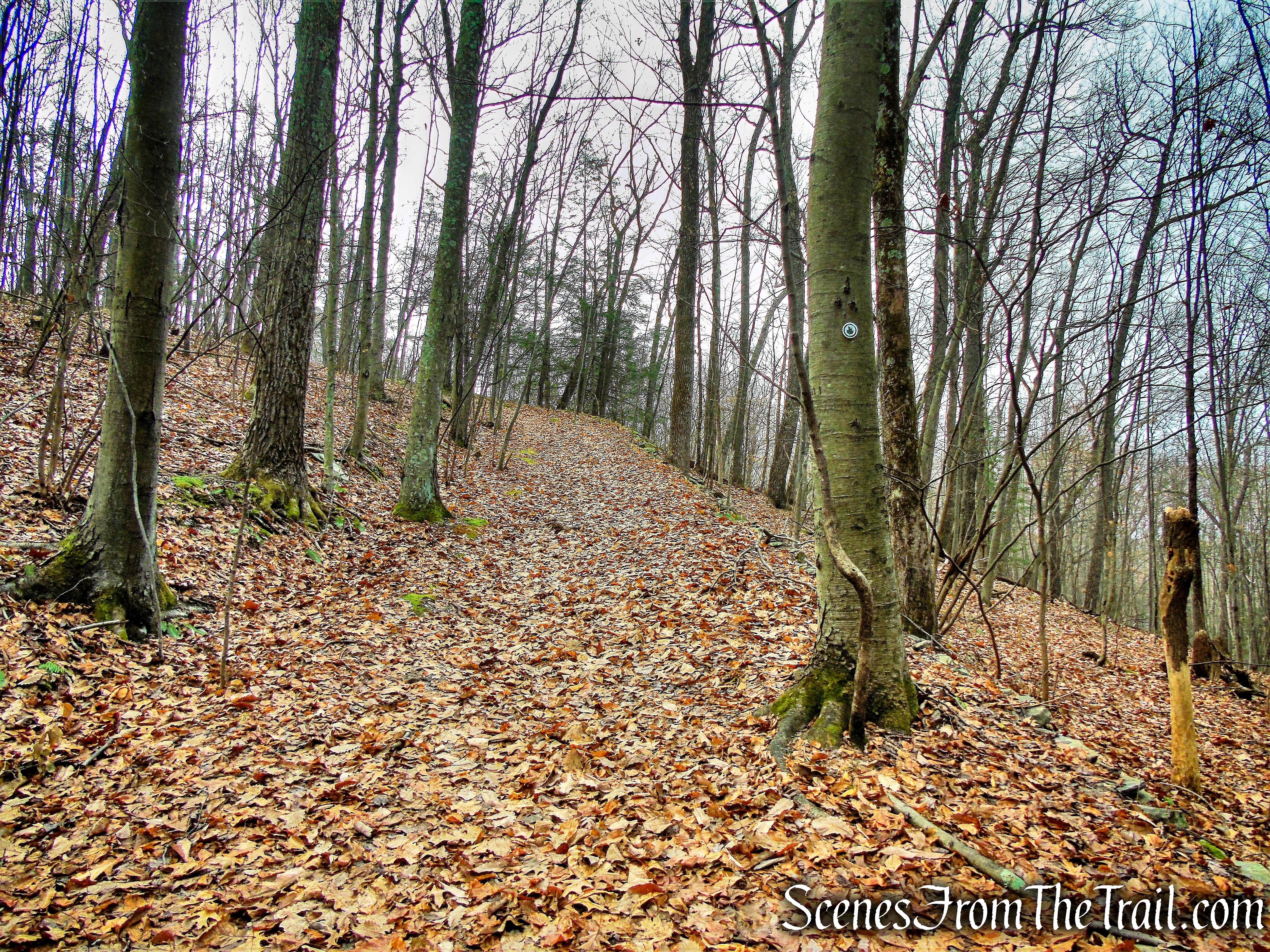 Top Cottage Trail