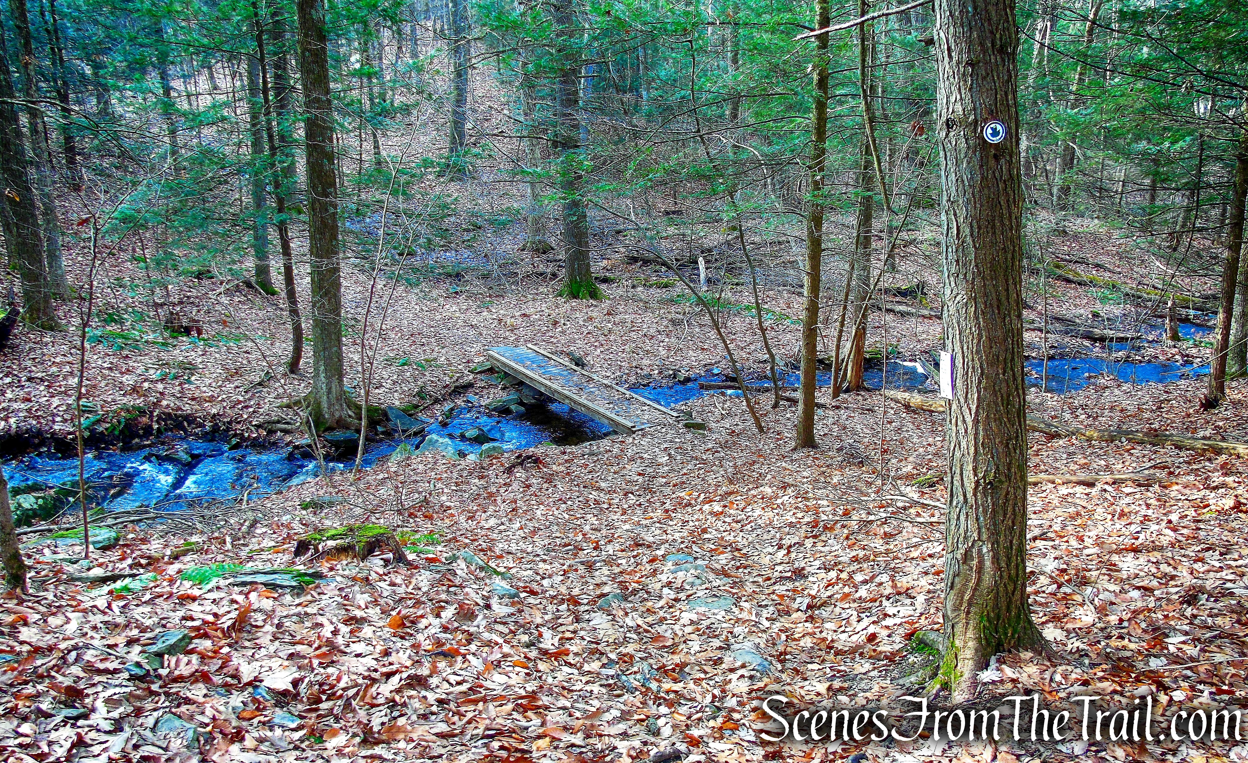 Top Cottage Trail