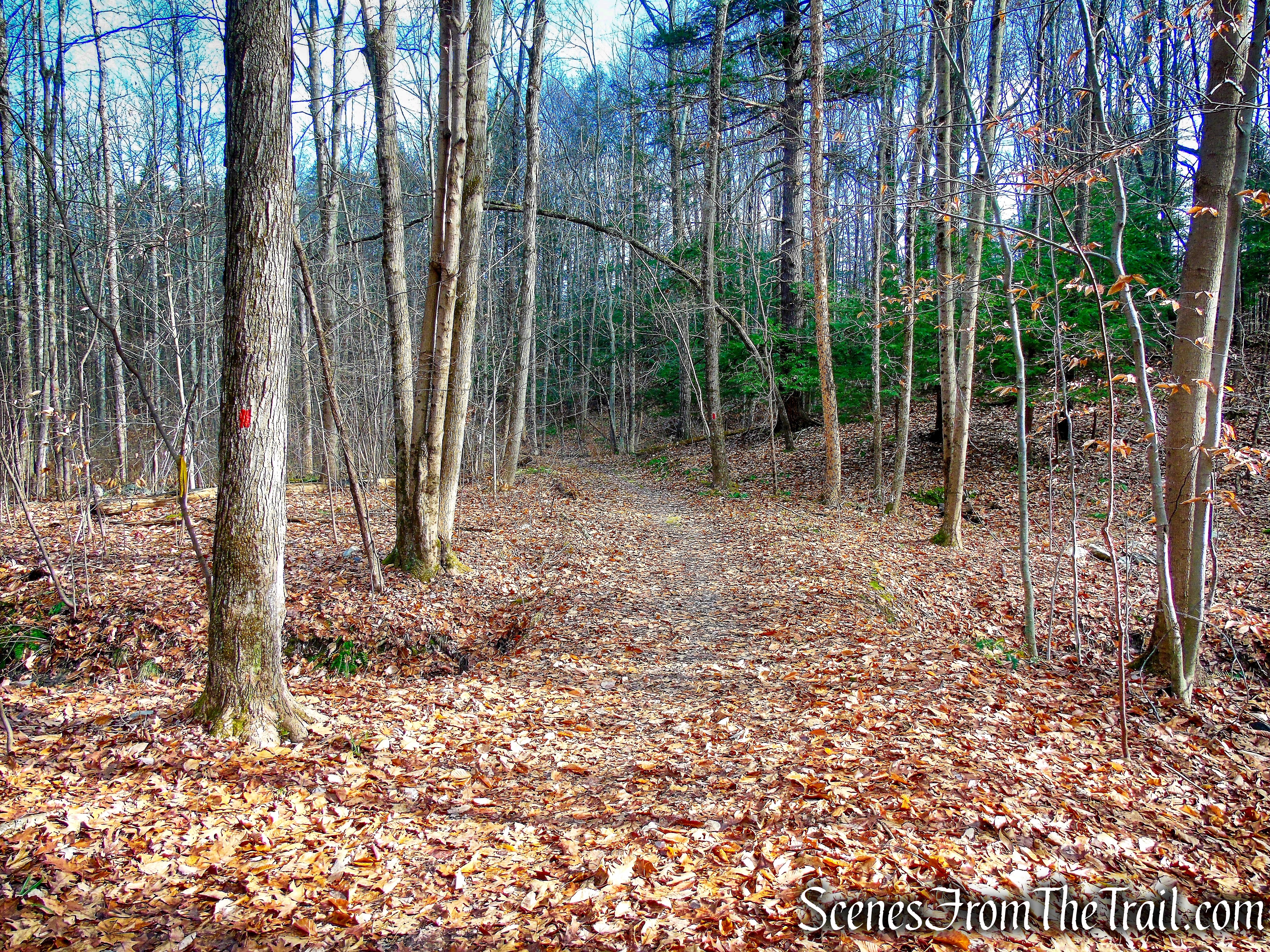 Colonel Rogers Loop Trail
