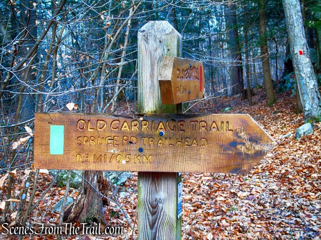 Old Carriage Trail
