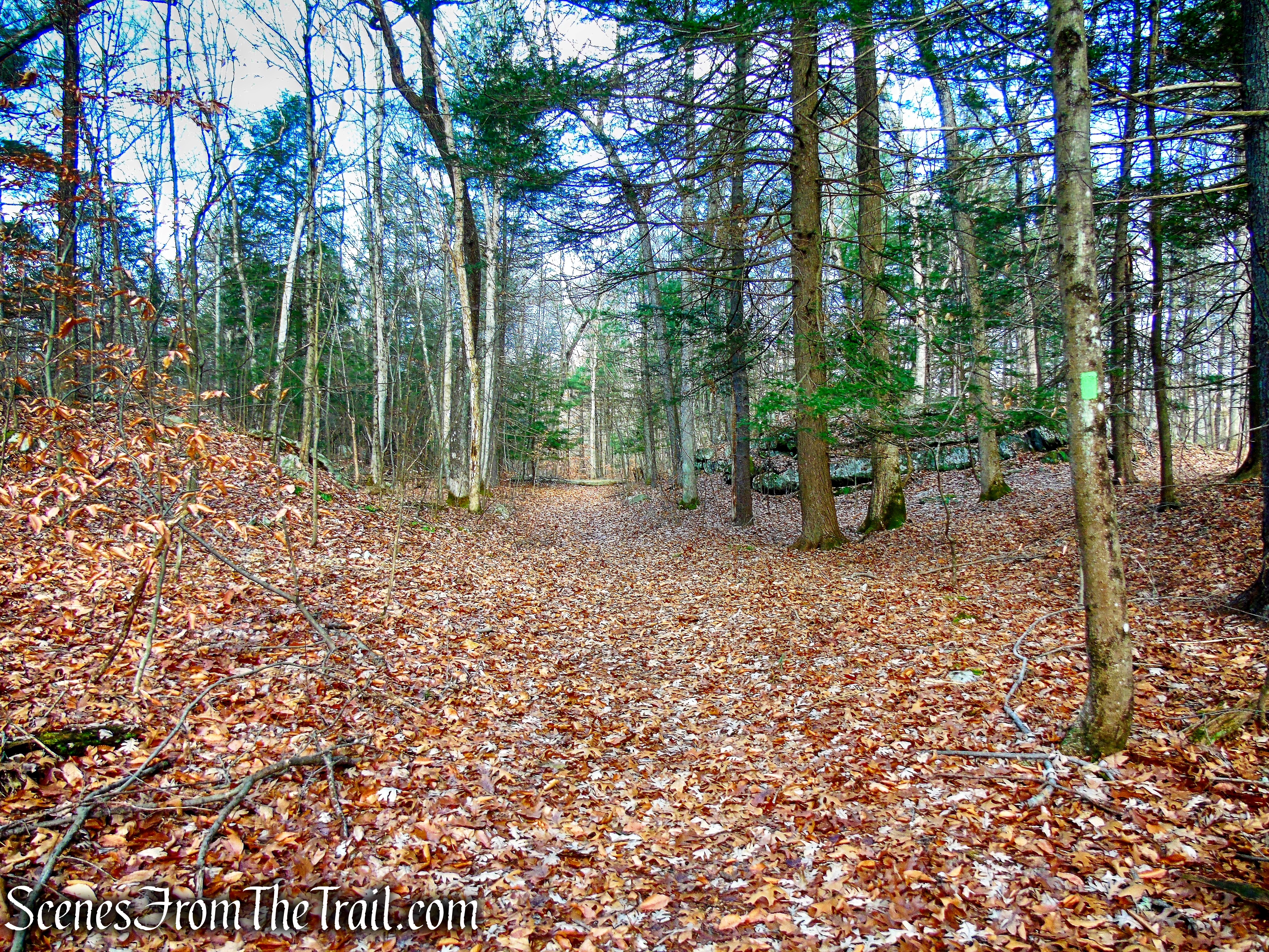 Old Carriage Trail