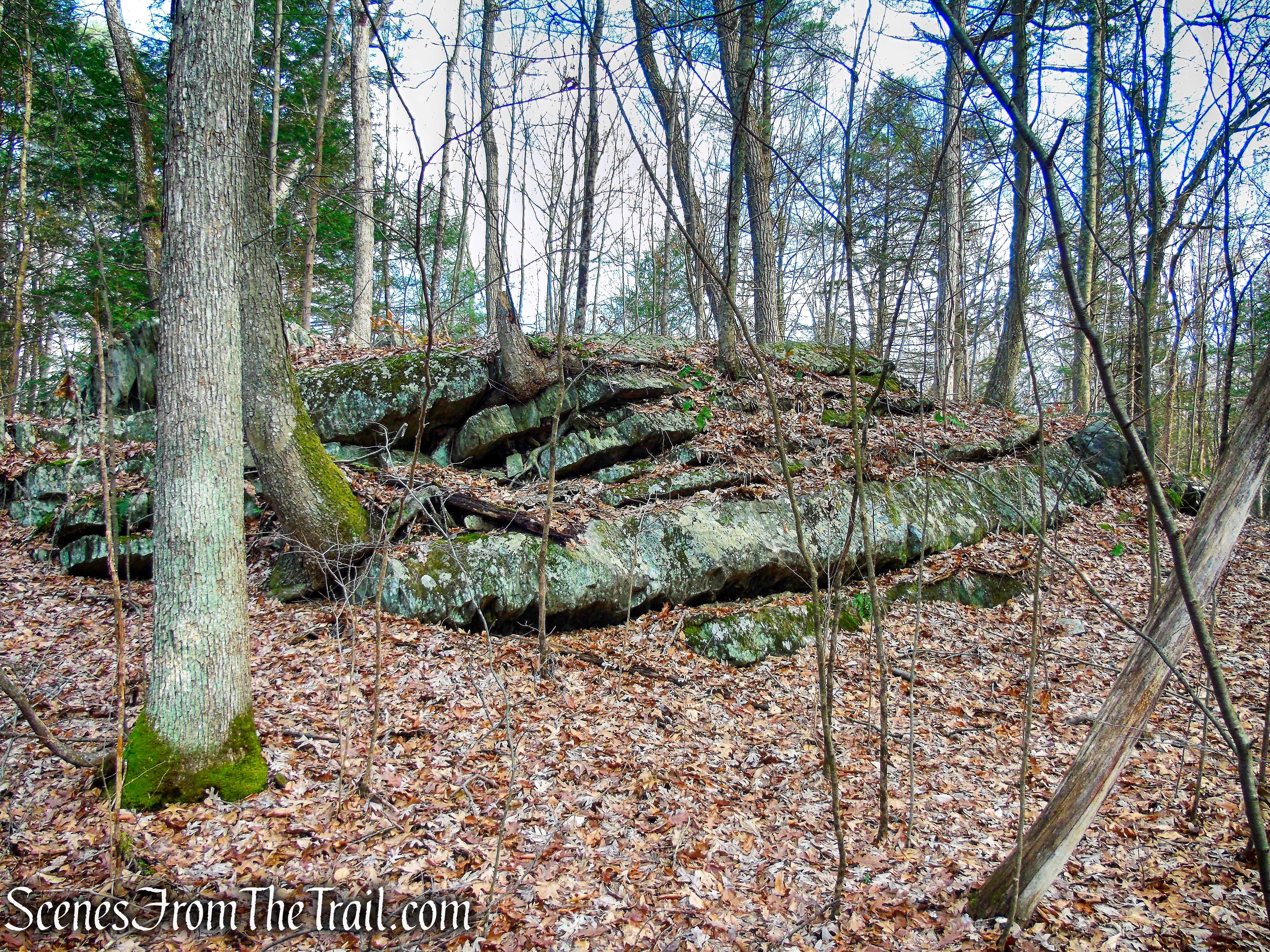 Old Carriage Trail