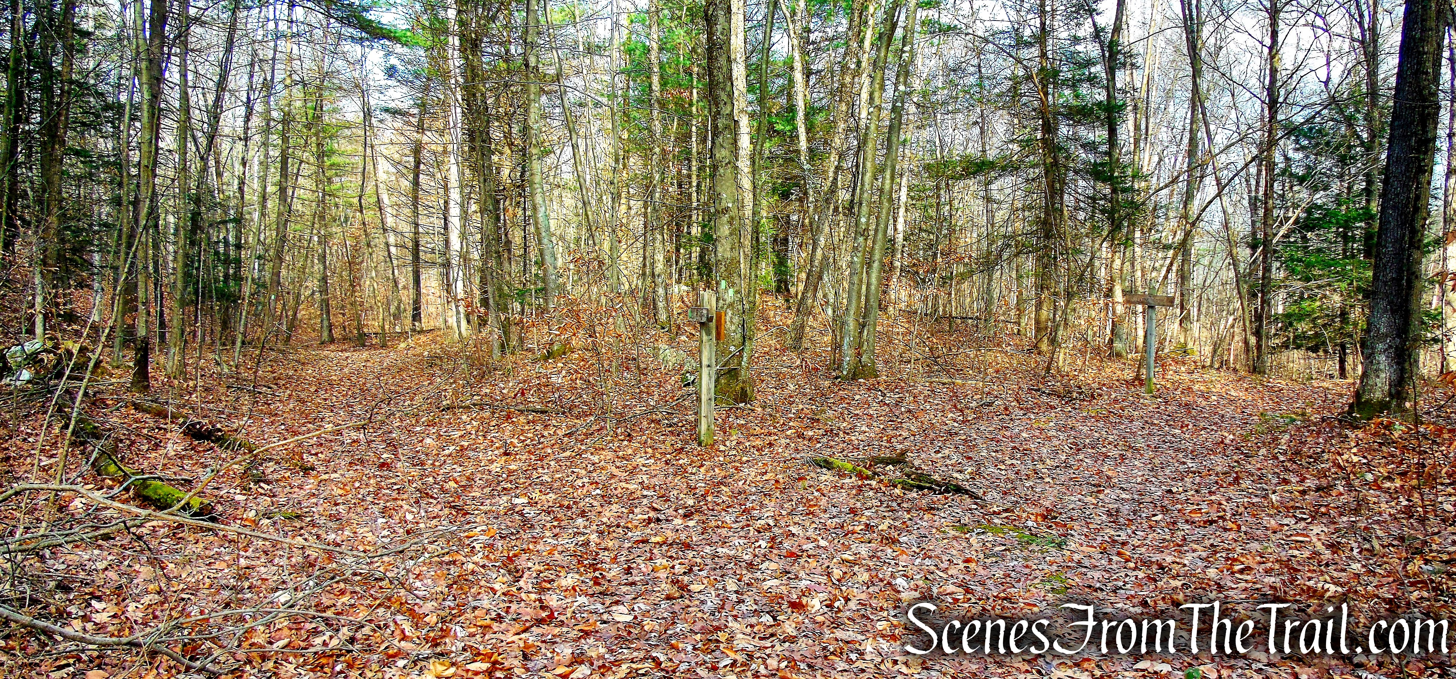 Old Carriage Trail