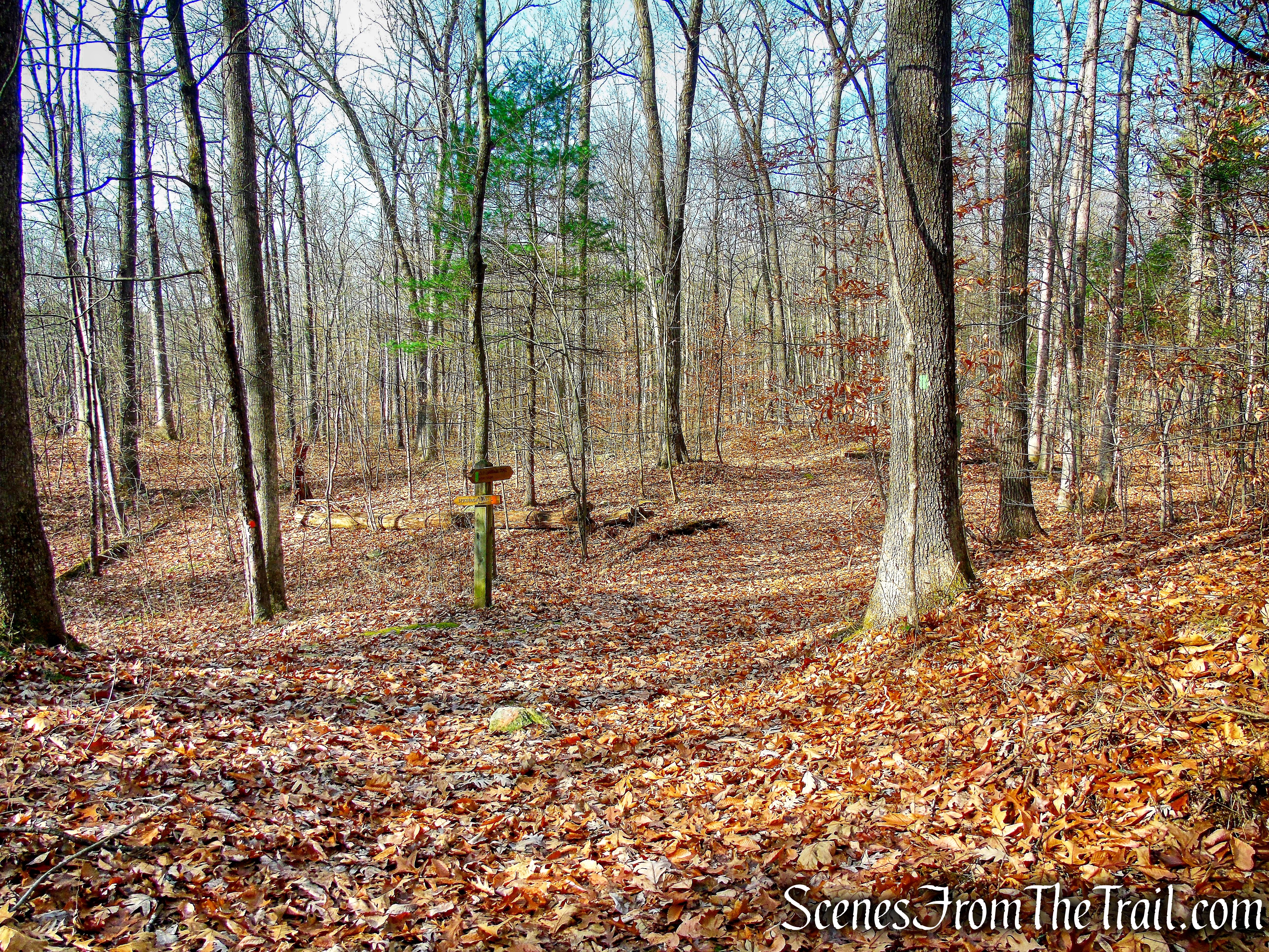 Old Carriage Trail