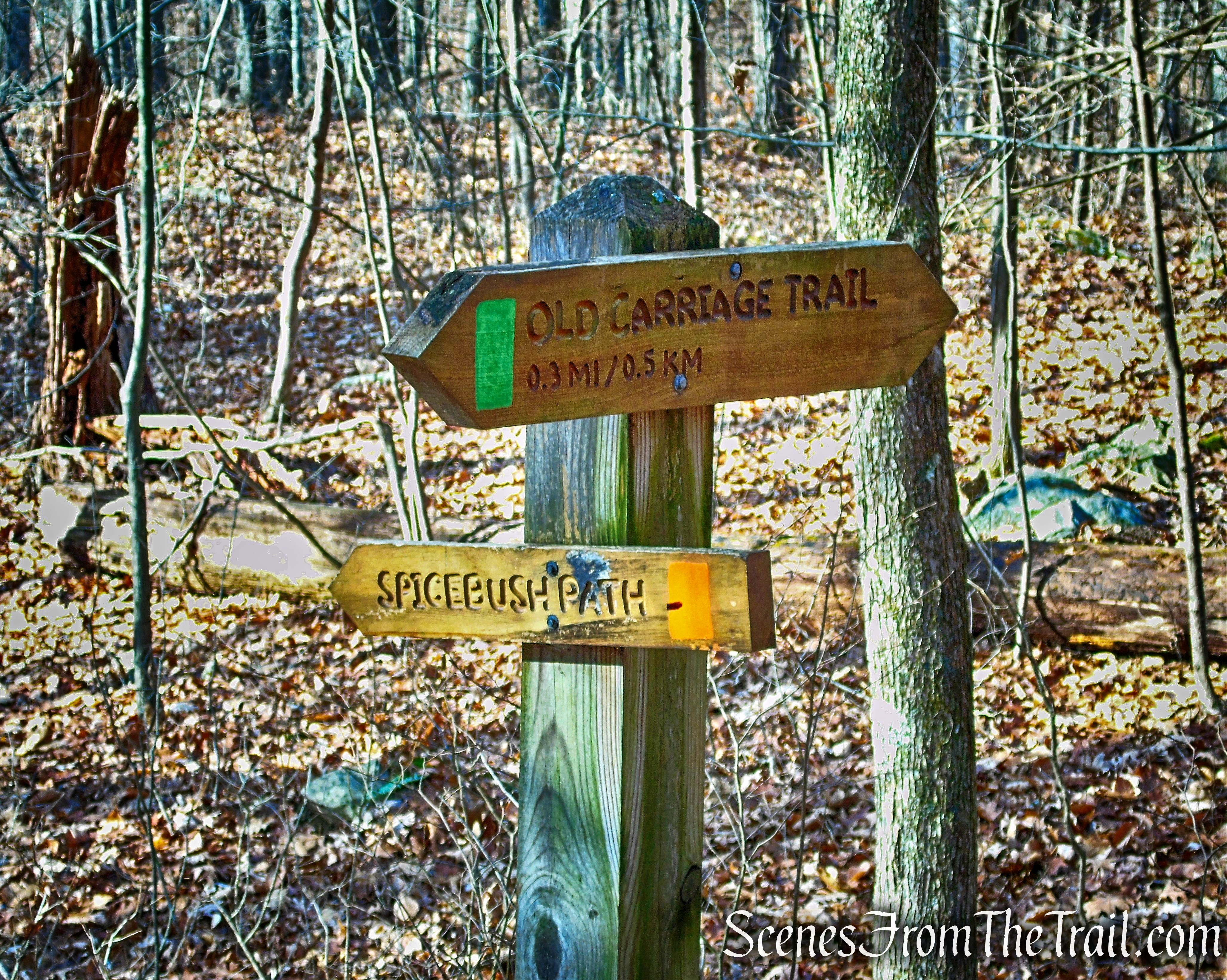 Left on Spicebush Path