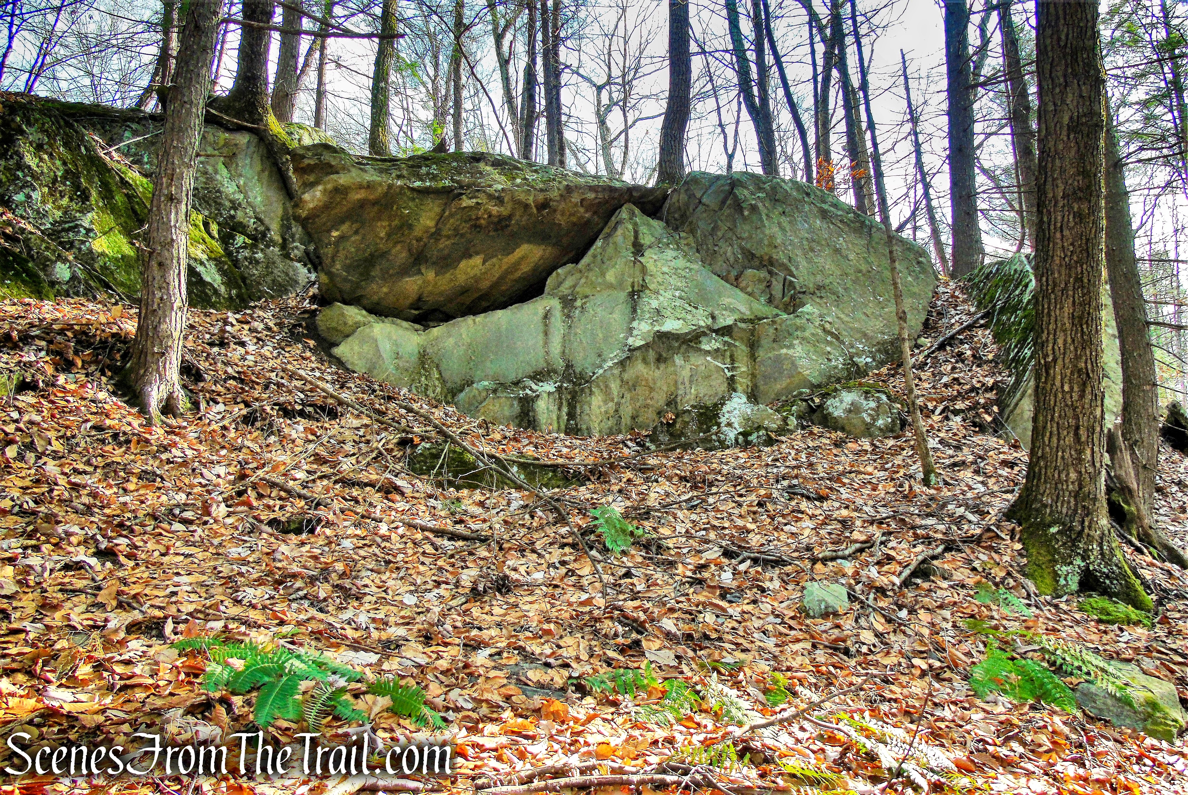 Beech Trail
