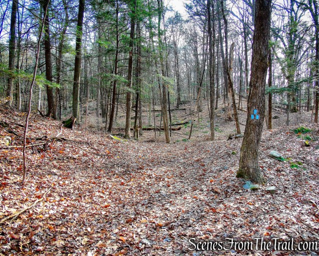 terminus of Beech Trail