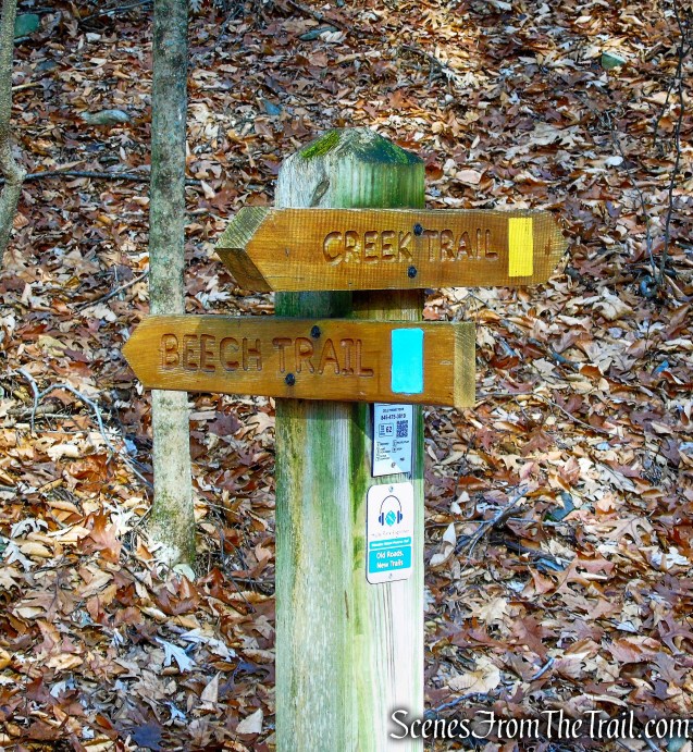 turn left on Creek Trail