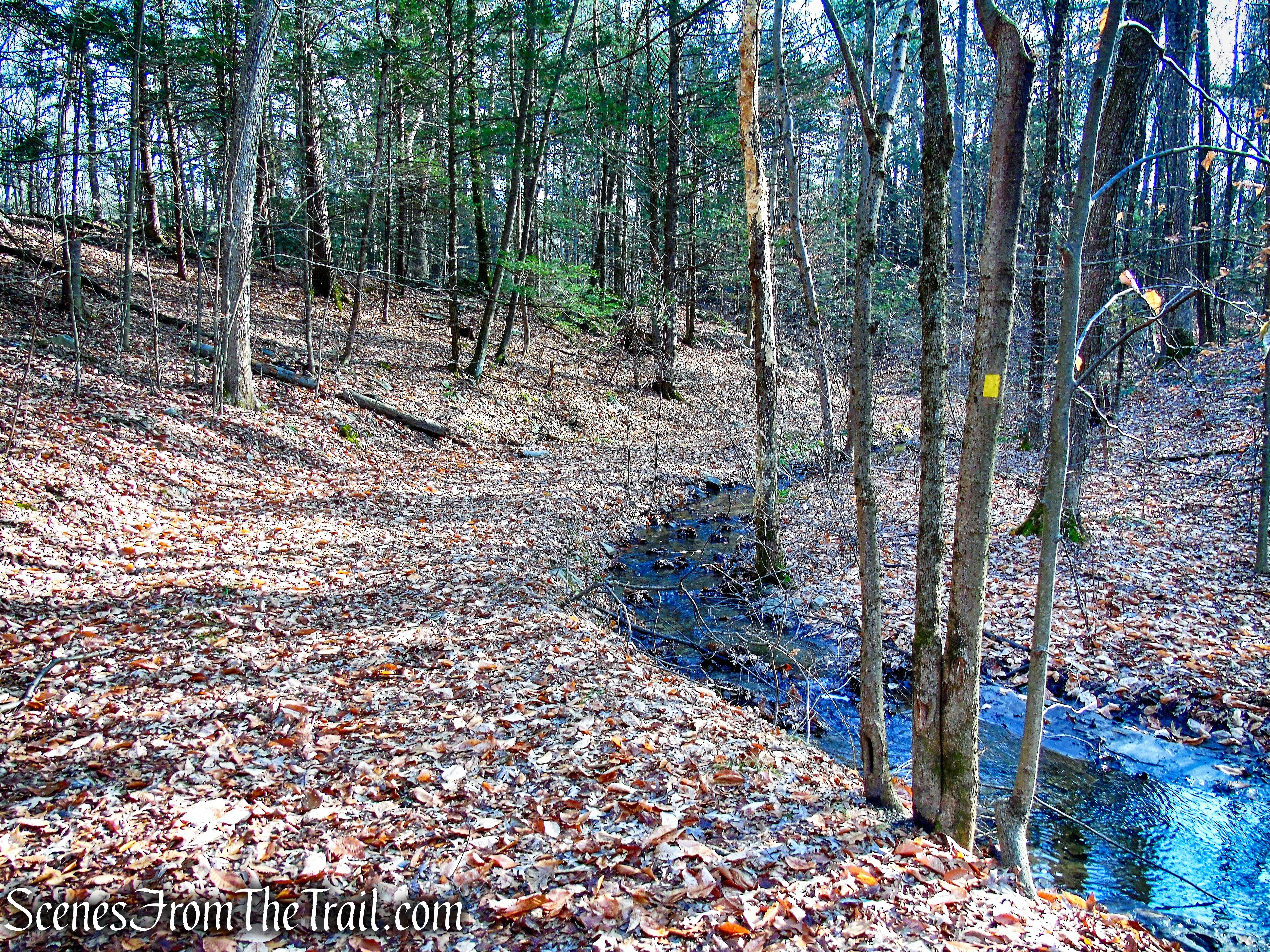 Creek Trail