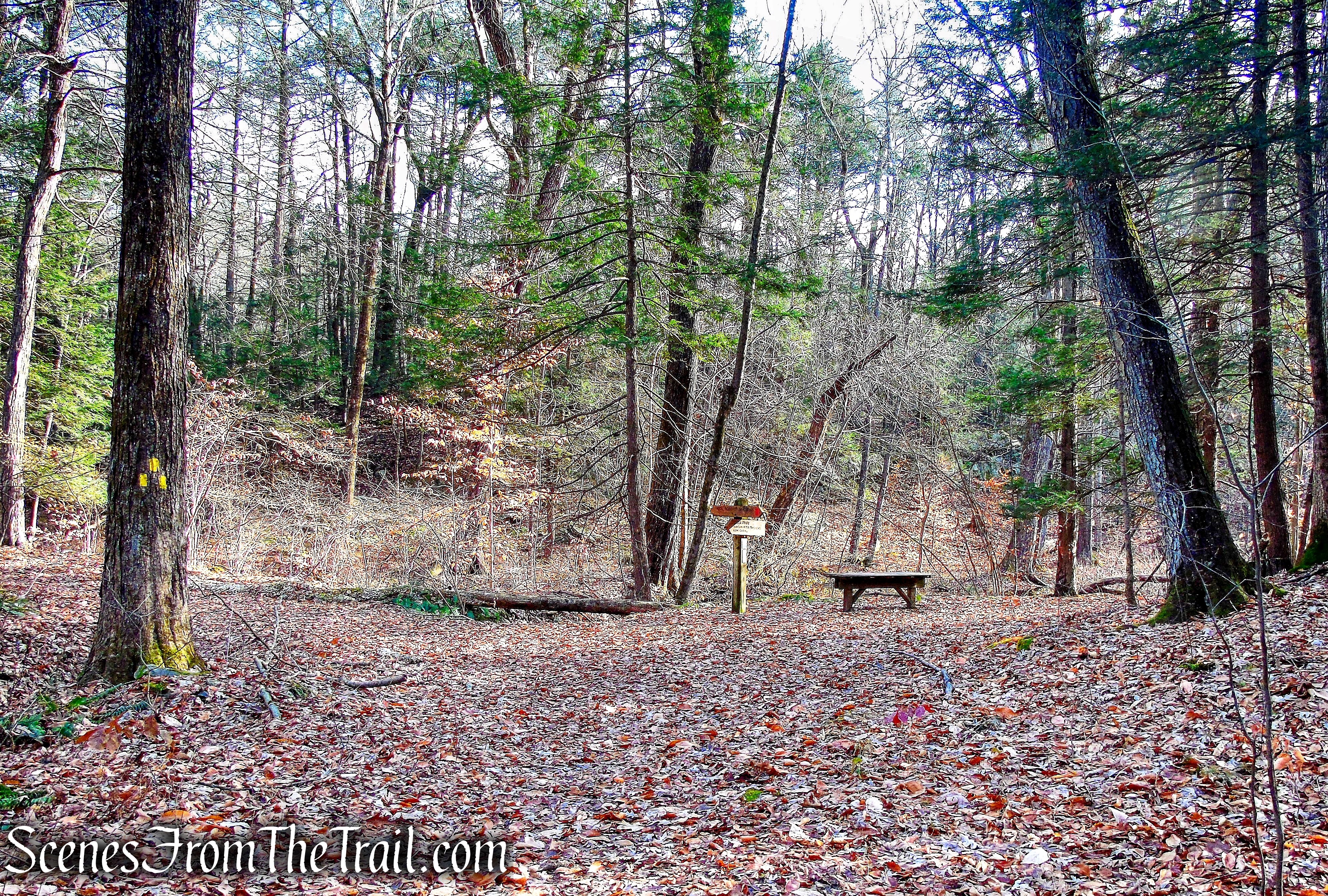 terminus of Creek Trail