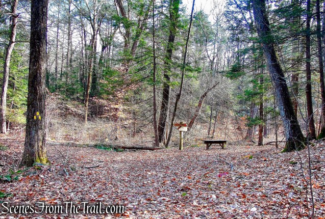 terminus of Creek Trail