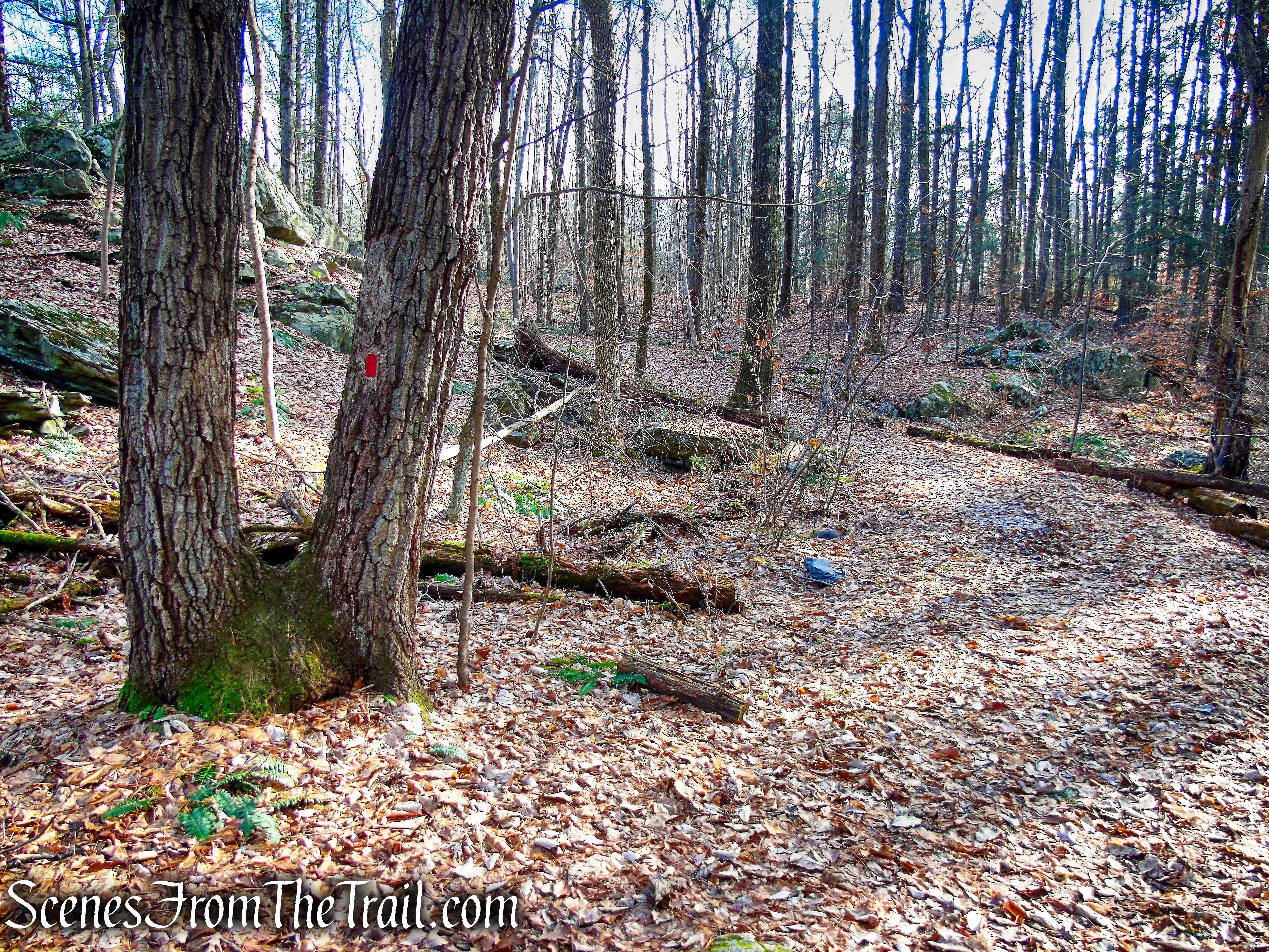 Colonel Rogers Loop Trail